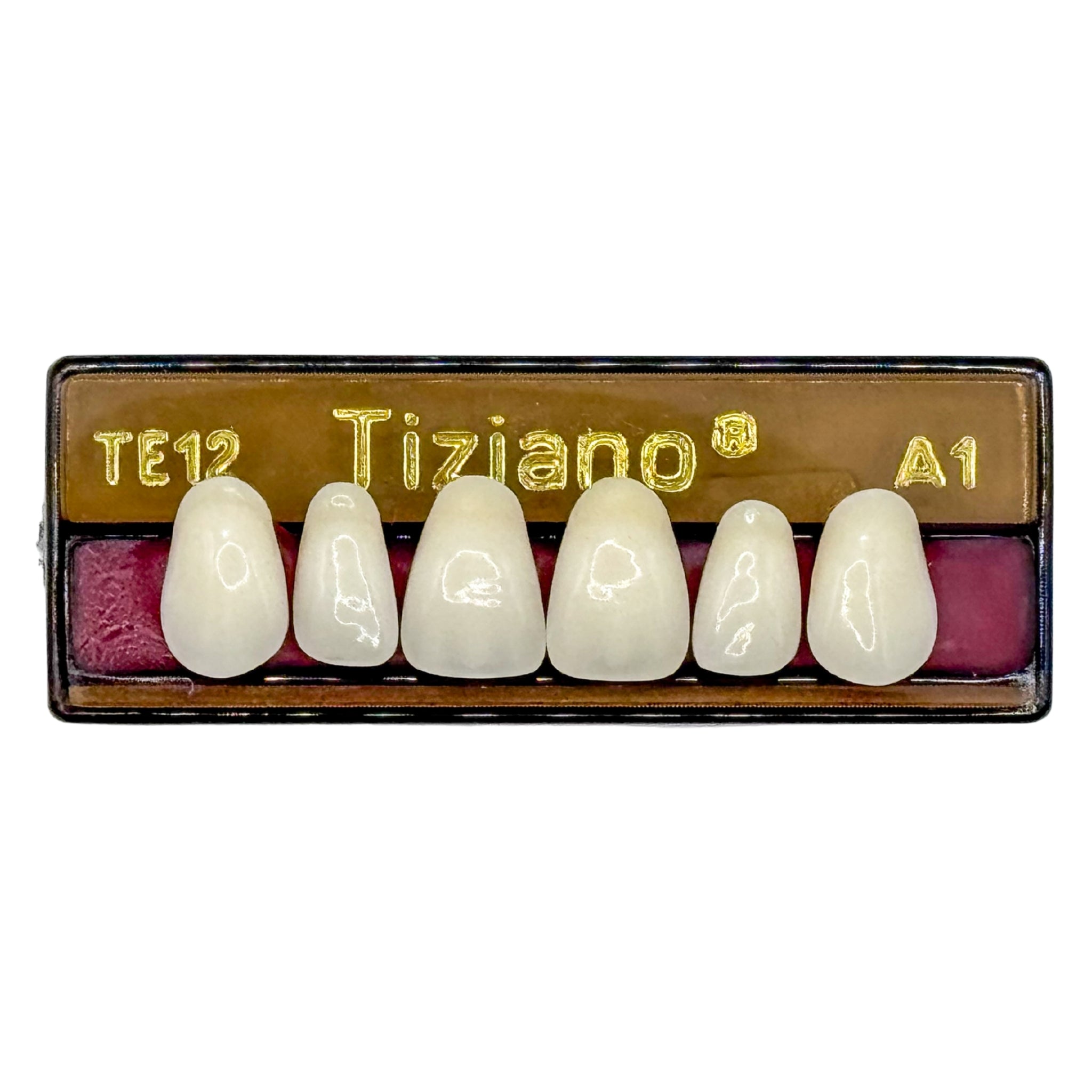 Dientes tiziano x 6 sa TE12 col A1