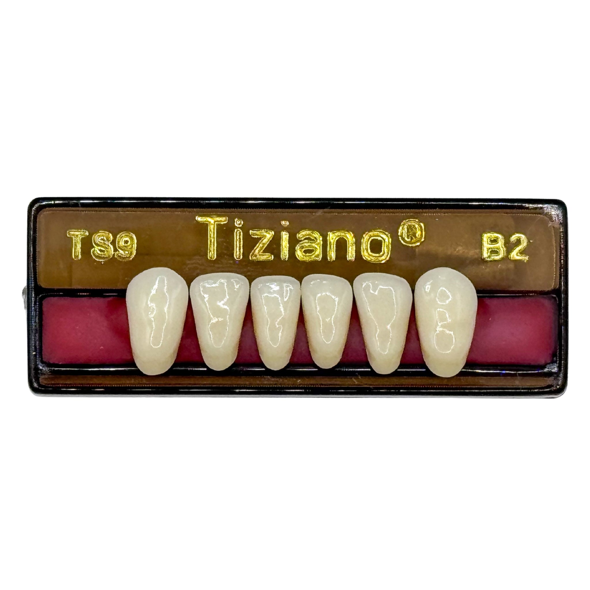 Dientes tiziano x 6 ia TS9 col B2