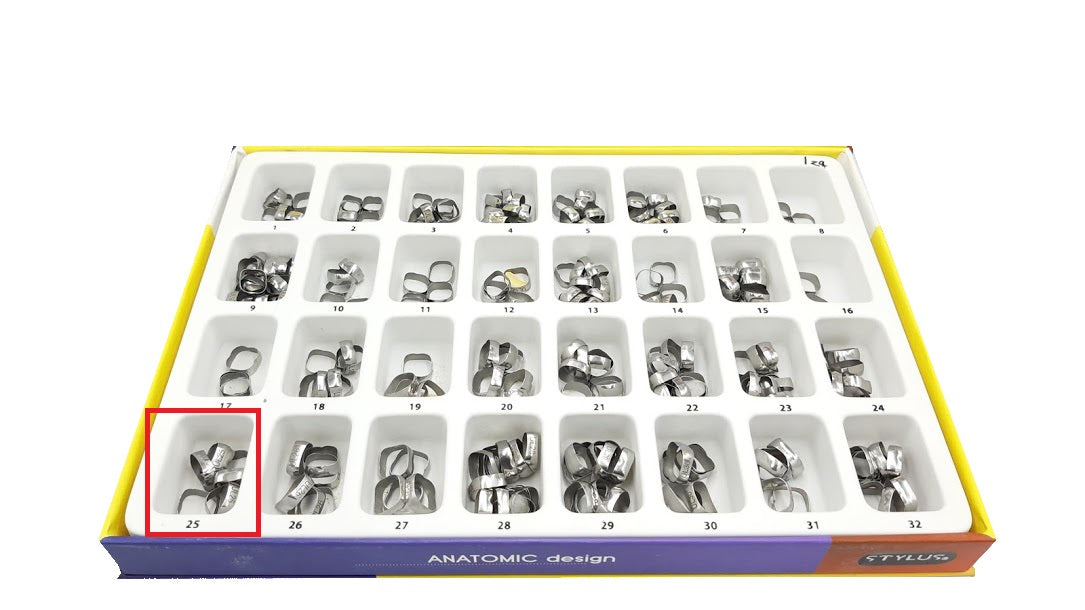Banda anatomica 1 molar Borgatta Upper