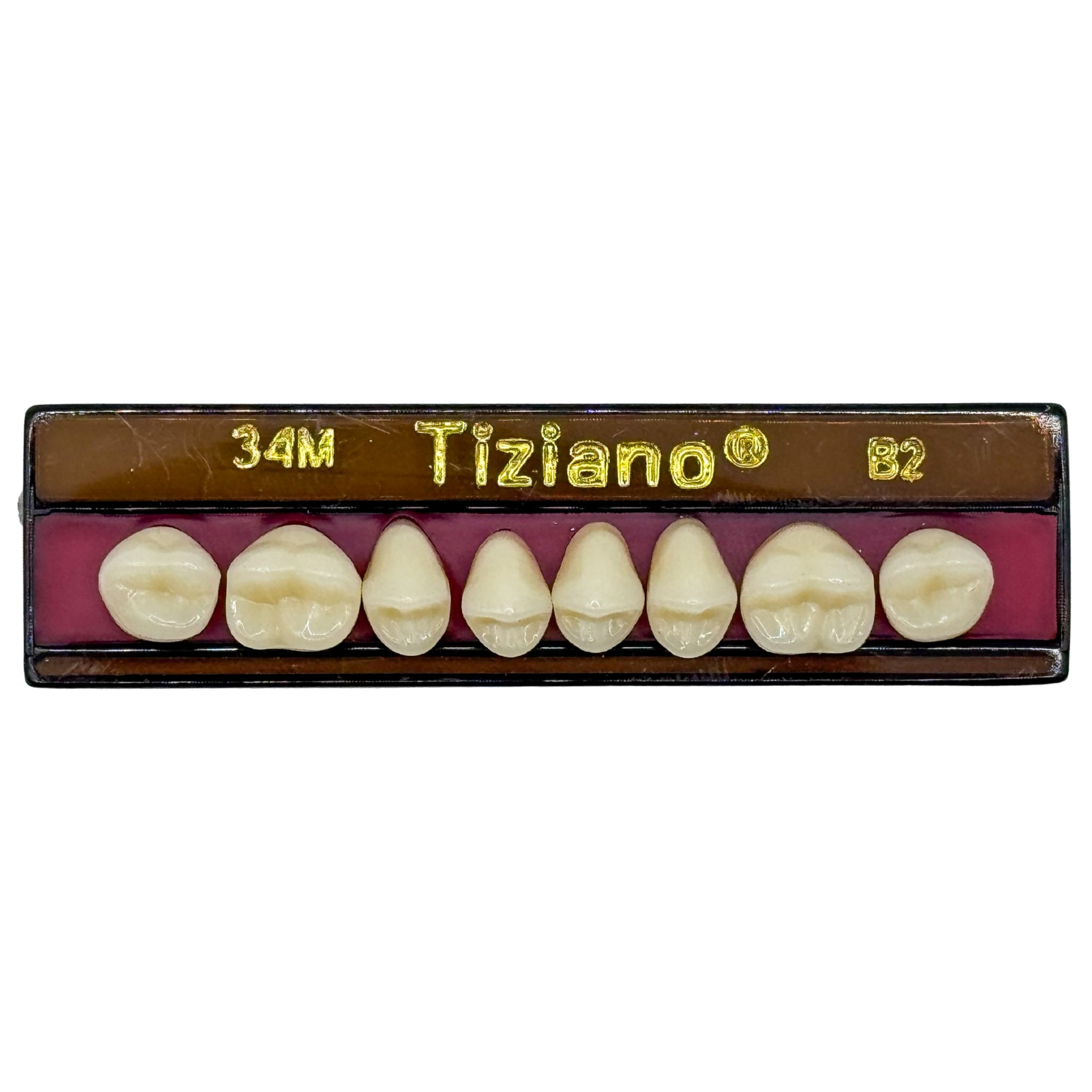 Dientes tiziano x 8 sp 34M col B2