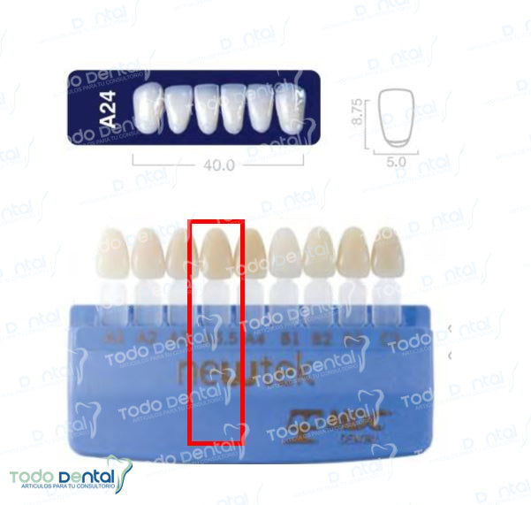 Diente new tek anterior inferior