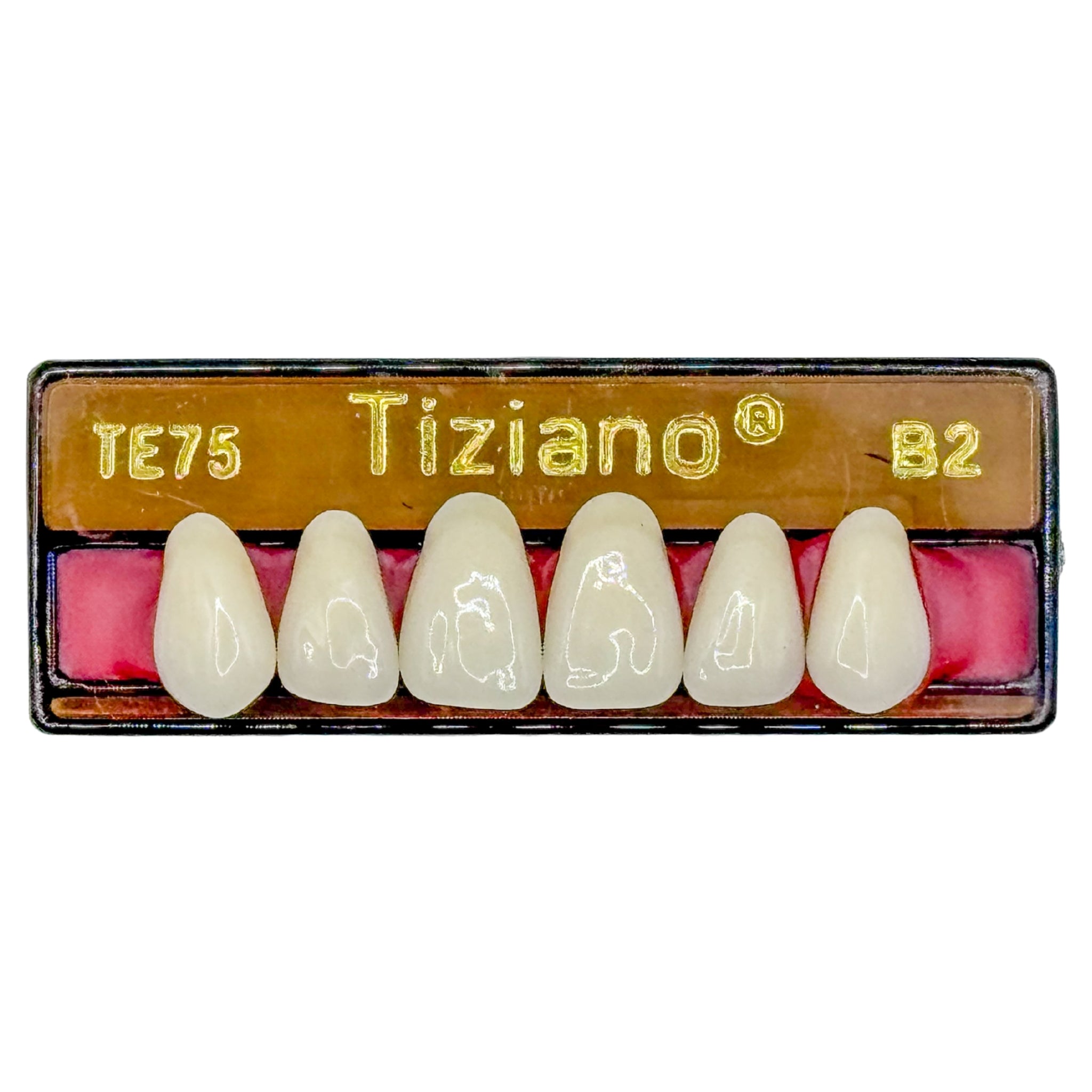 Dientes tiziano x 6 sa TE75 col B2