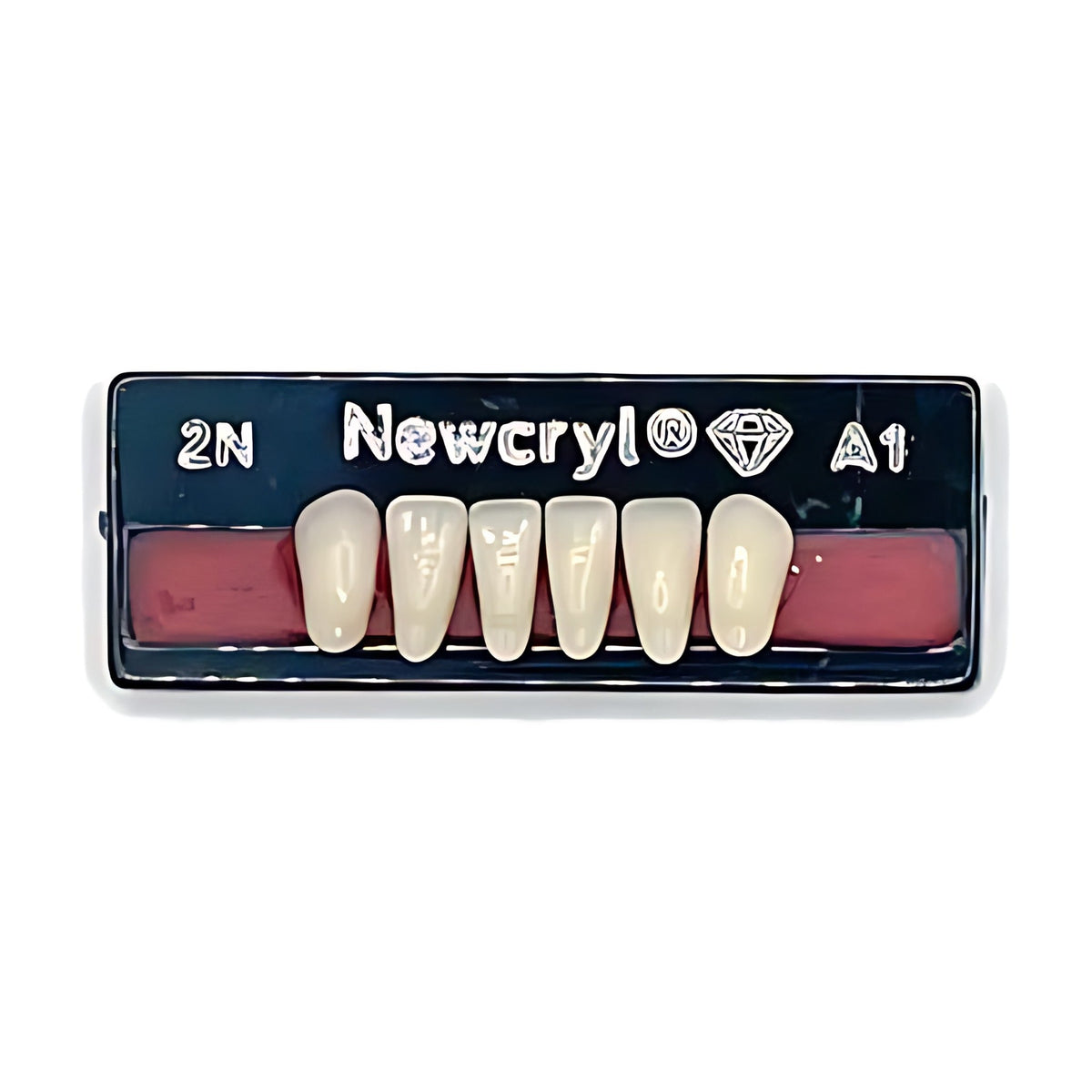 Dientes newcryl inferior anterior