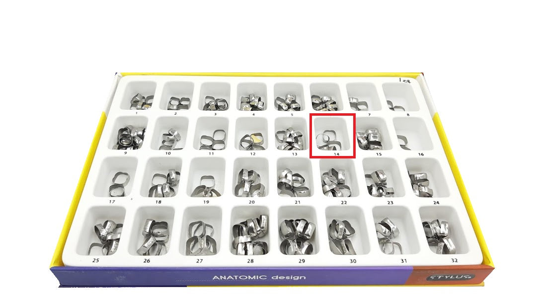 Banda anatomica 1 molar Borgatta Upper
