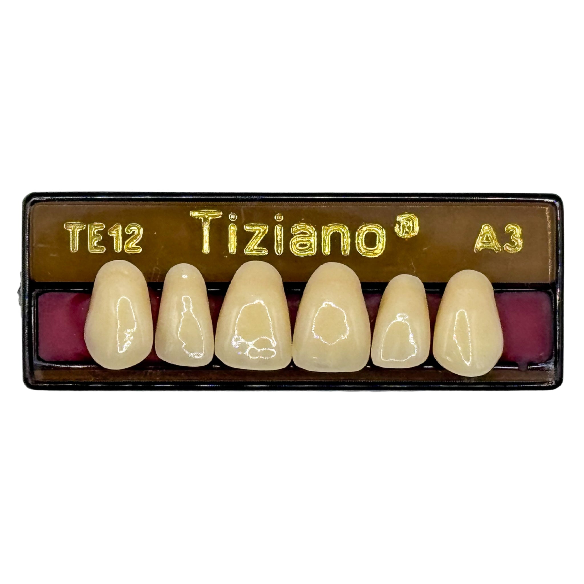Dientes tiziano x 6 sa TE12 col A3