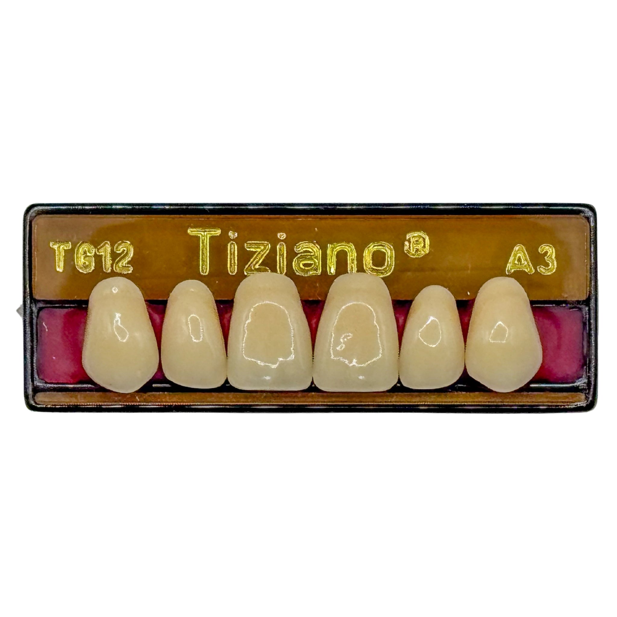 Dientes tiziano x 6 sa TG12 col A3