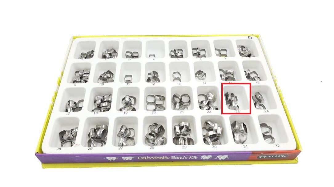 Banda anatomica 1 molar Borgatta Upper
