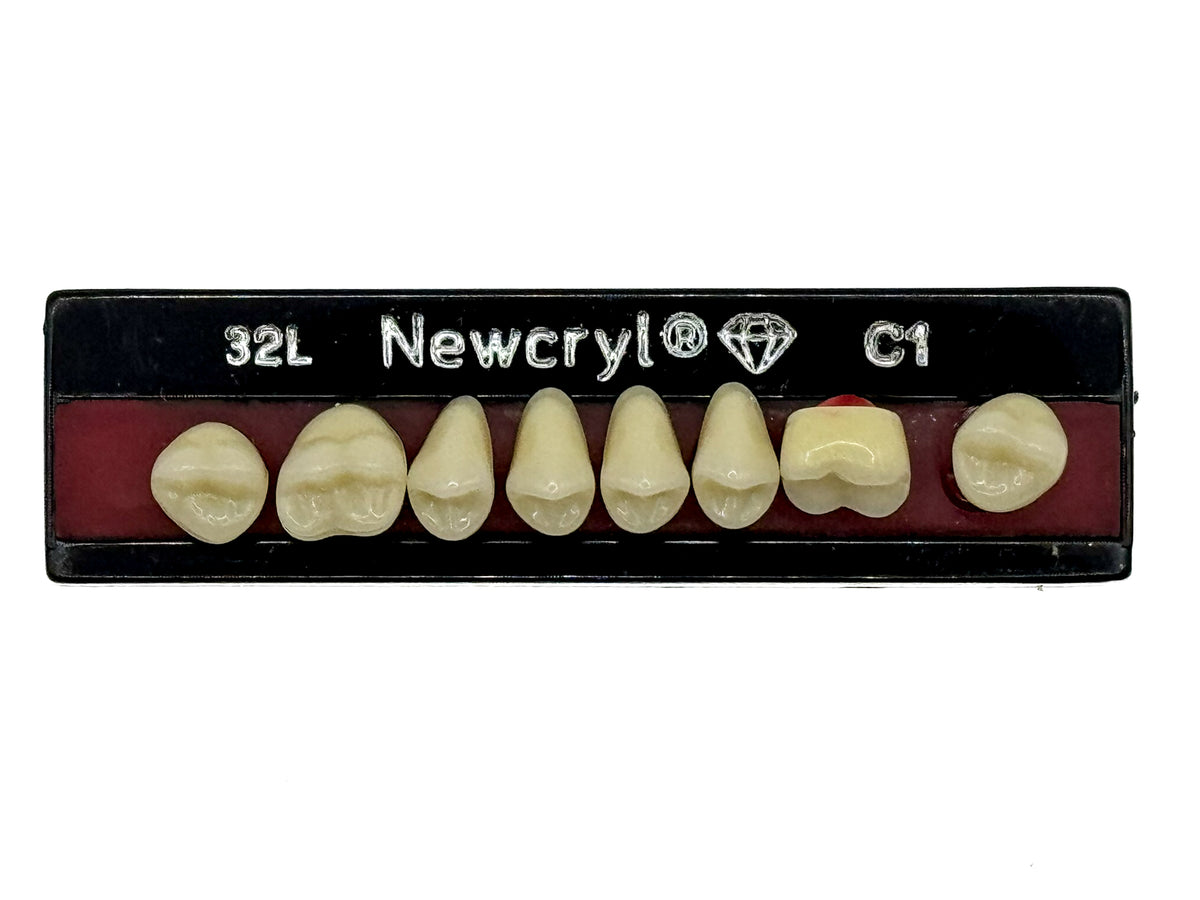 Dientes newcryl superior posterior