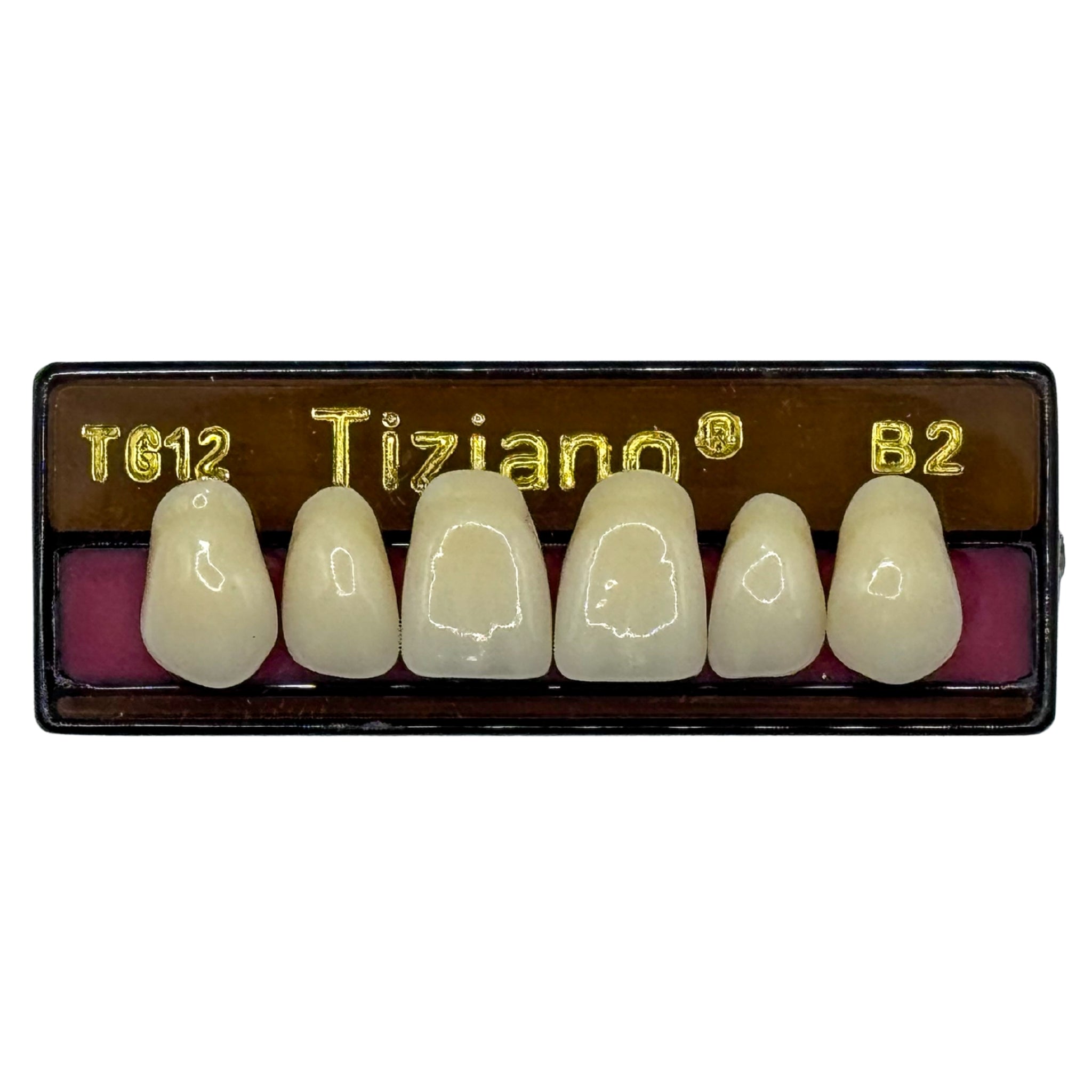 Dientes tiziano x 6 sa TG12 col B2