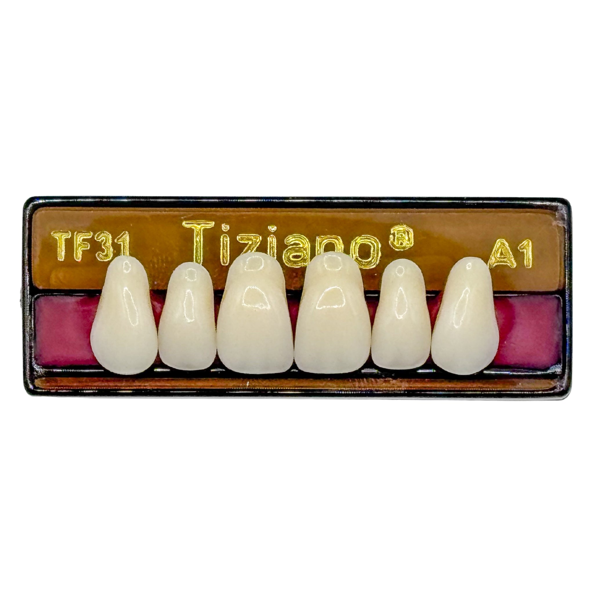 Dientes tiziano x 6 sa TF31 col A1