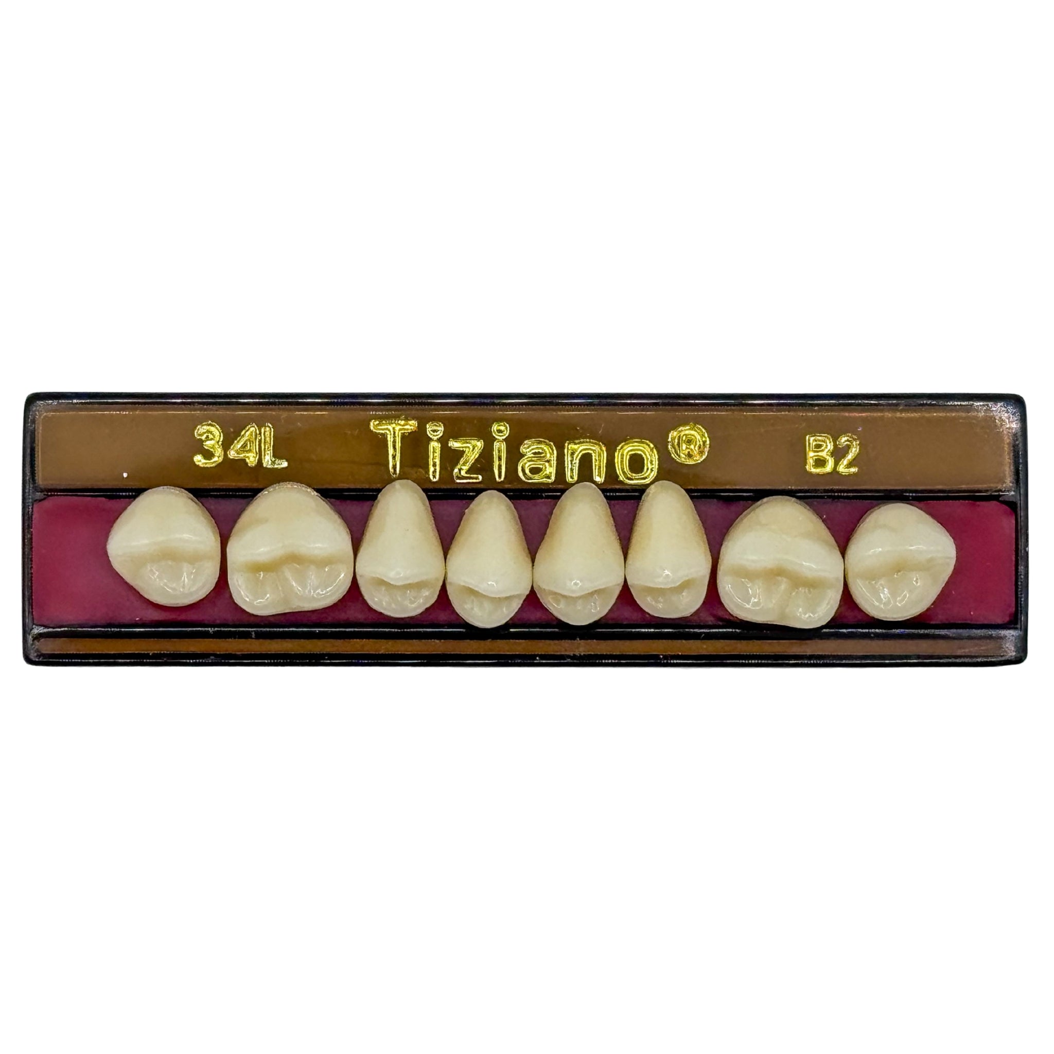 Dientes tiziano x 8 sp 34L col B2