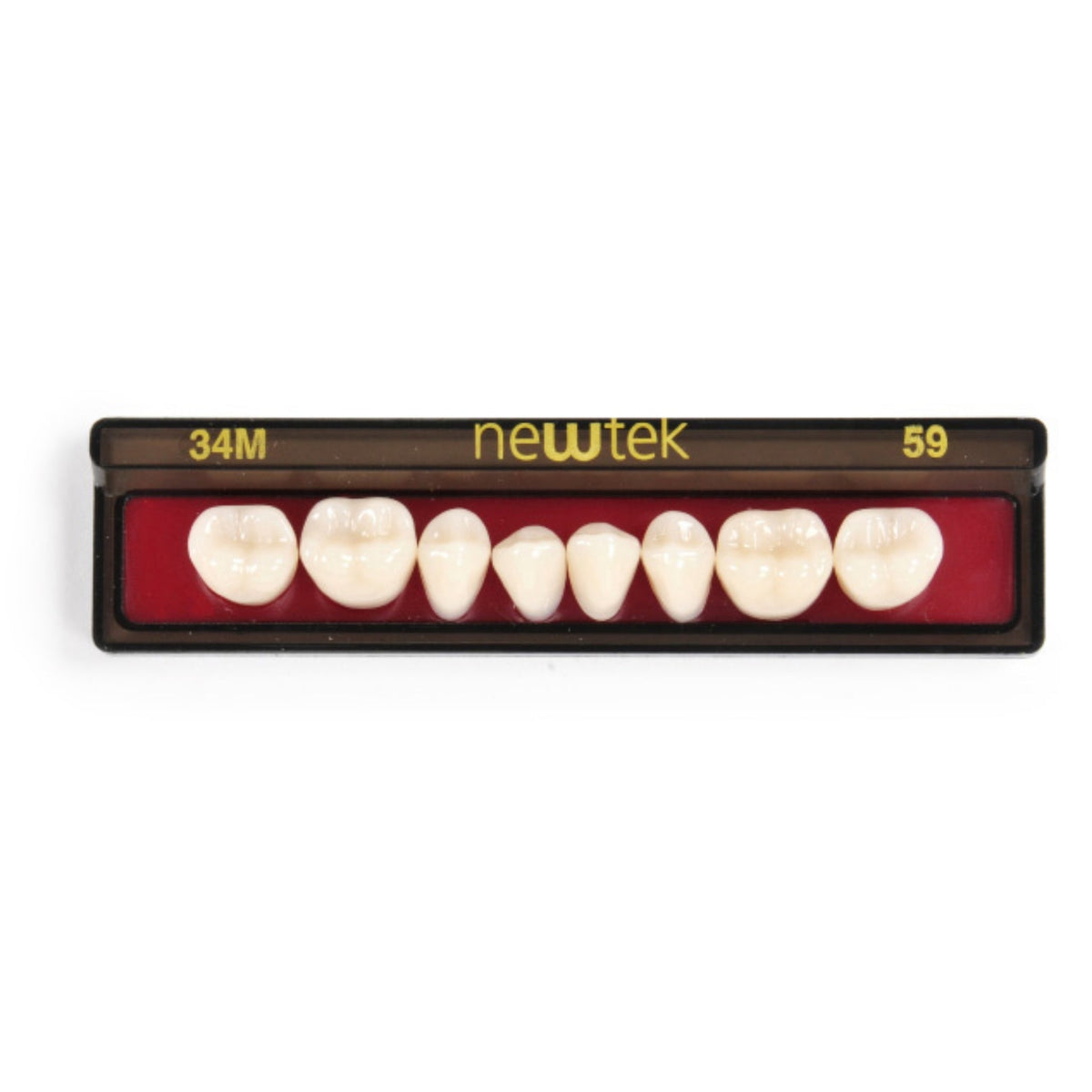 Diente new tek posterior inferior — 150-34M-66I