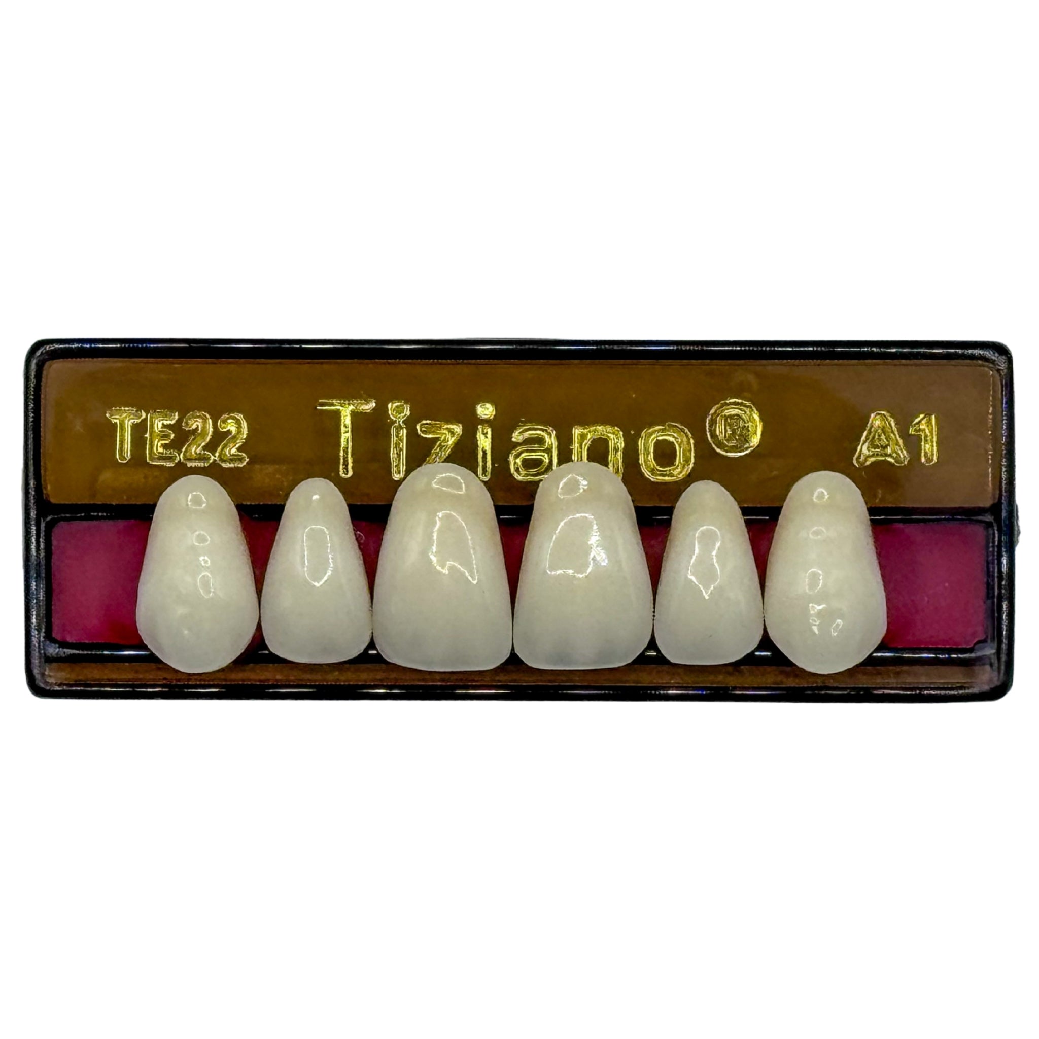 Dientes tiziano x 6 sa TE22 col A1