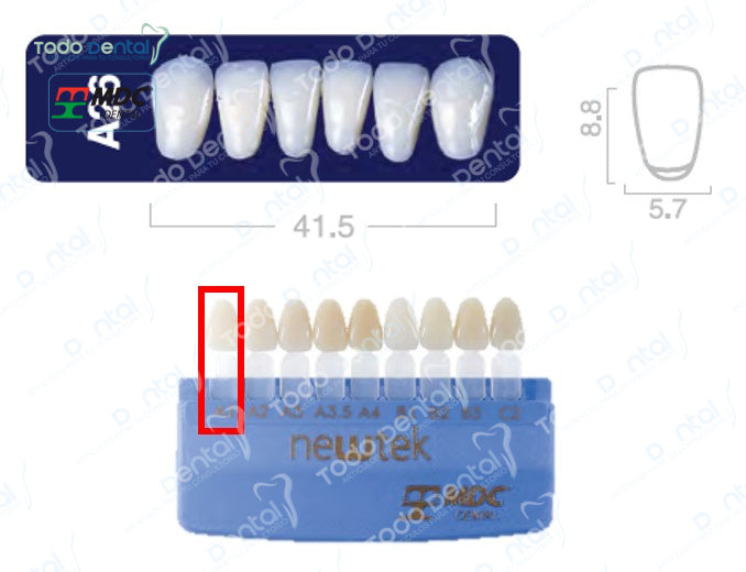 Diente new tek anterior inferior