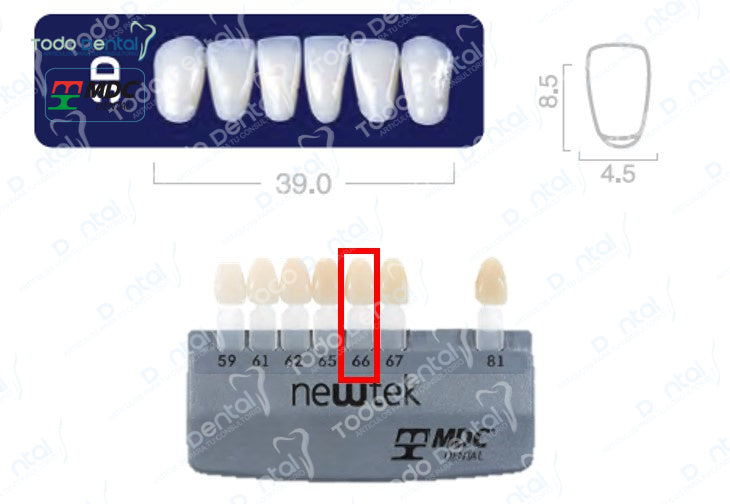 Diente new tek anterior inferior