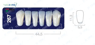 Diente new tek anterior inferior