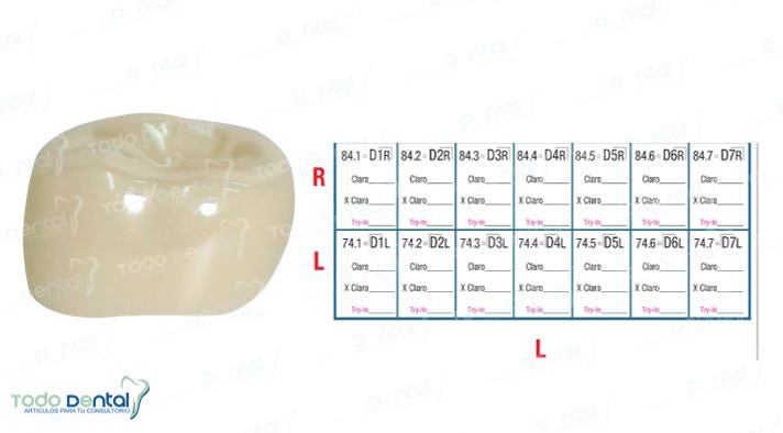 Corona zirconia nusmile posterior 1er molar y 2do molar
