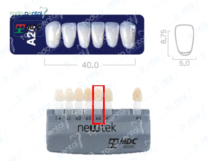 Diente new tek anterior inferior