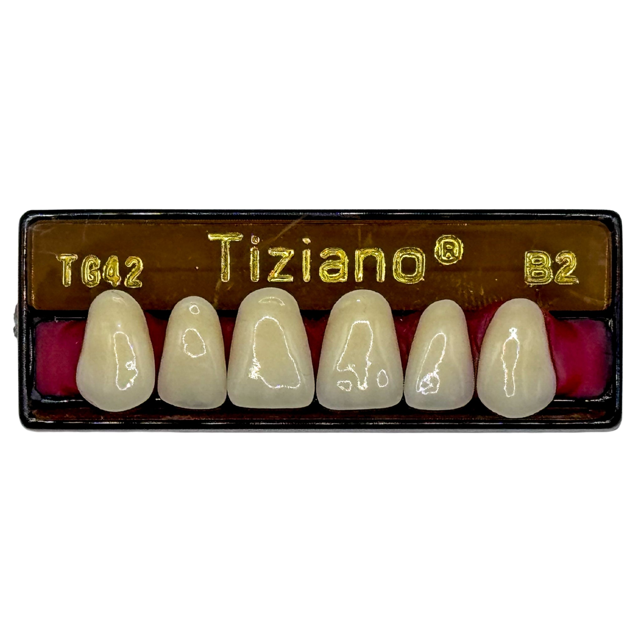 Dientes tiziano x 6 sa TG42 col B2