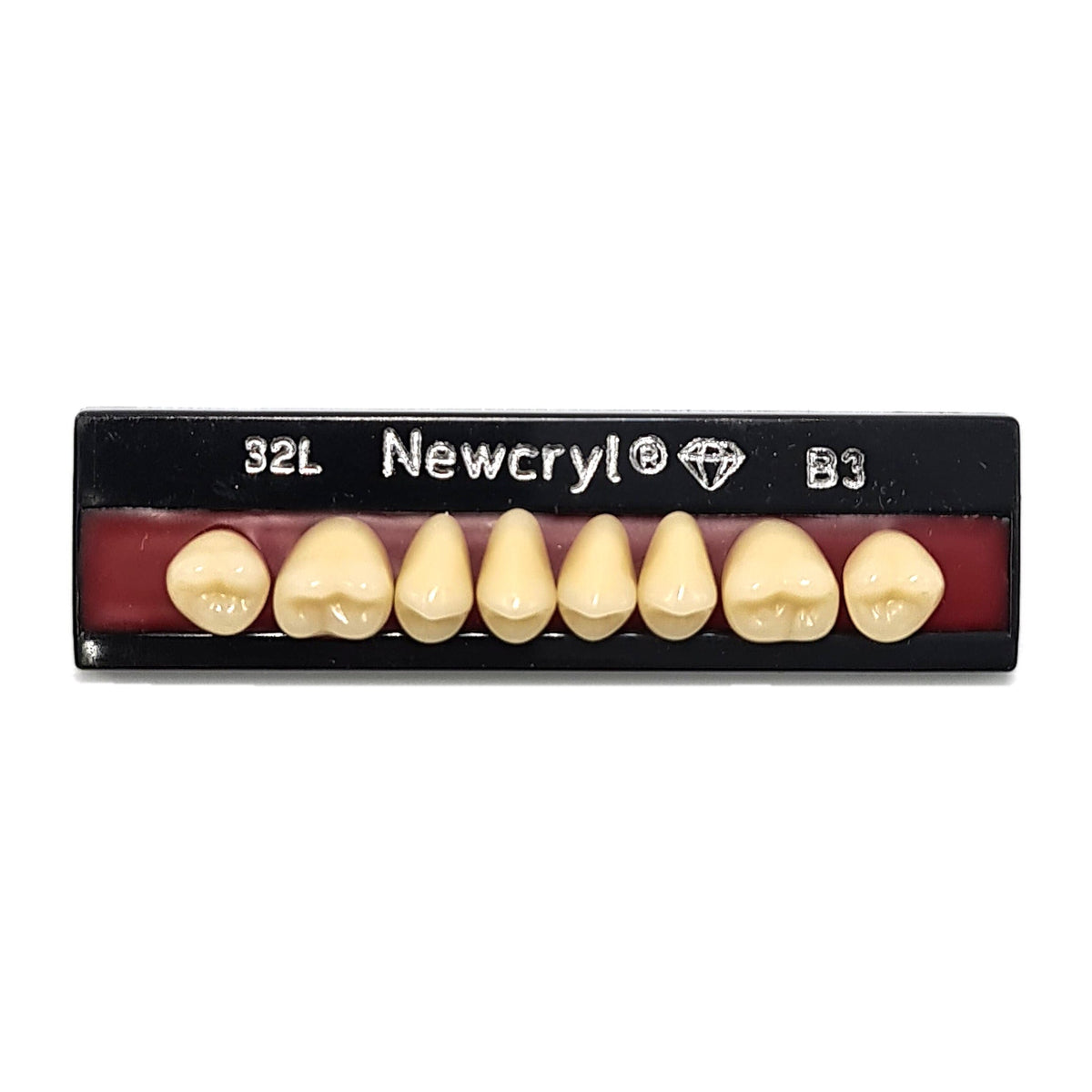 Dientes newcryl superior posterior