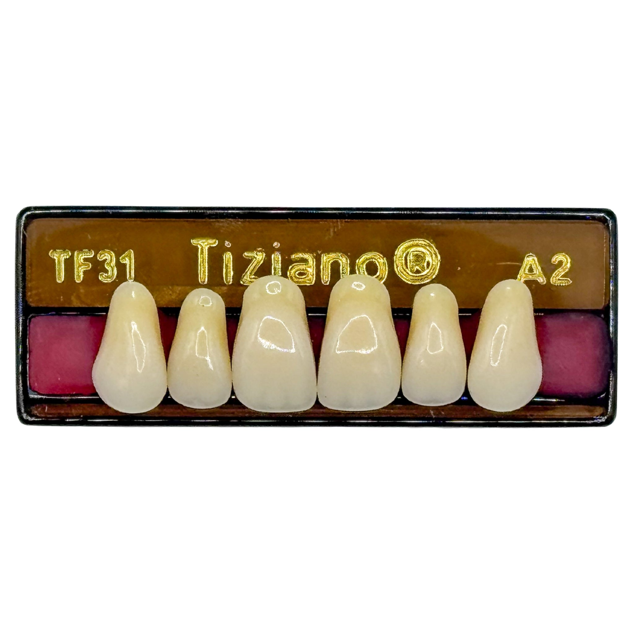Dientes tiziano x 6 sa TF31 col A2
