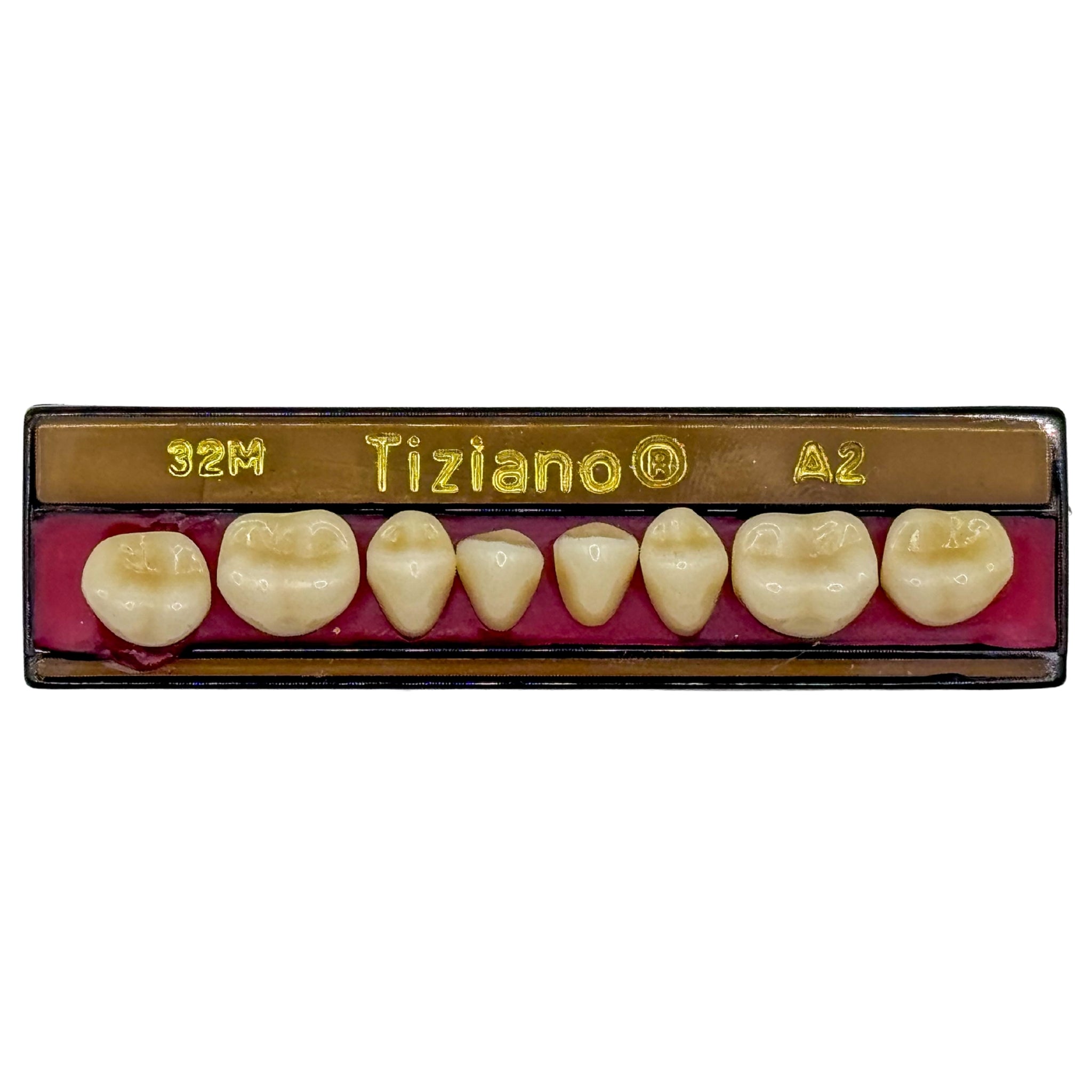 Dientes tiziano x 8 ip 32M col A2