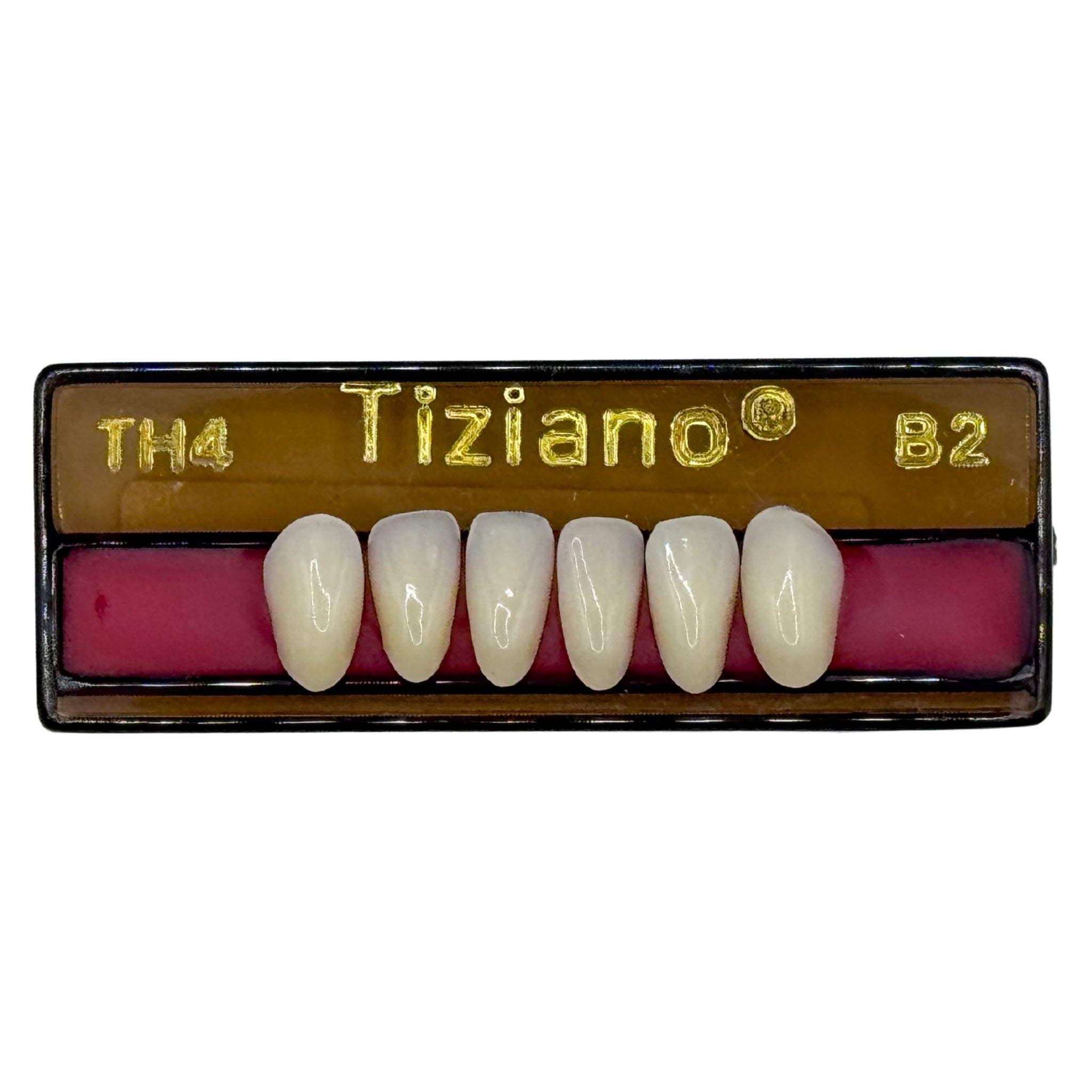 Dientes tiziano x 6 ia TH4 col B2