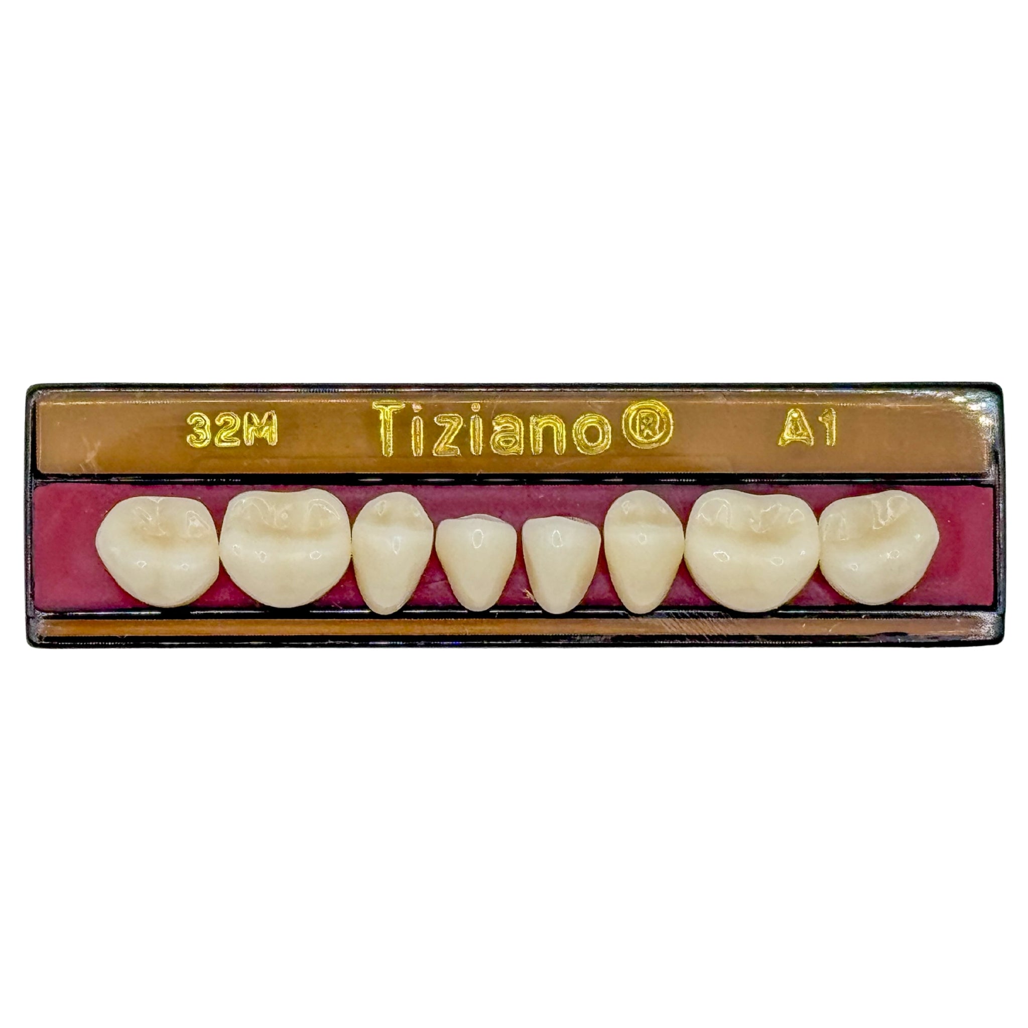 Dientes tiziano x 8 ip 32M col A1