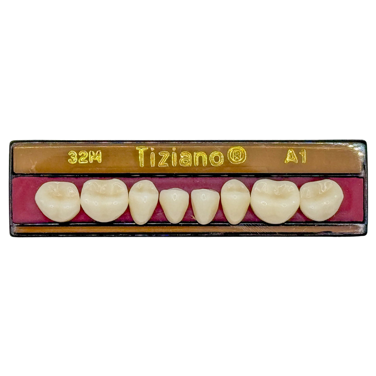 Dientes Tiziano inferior posterior