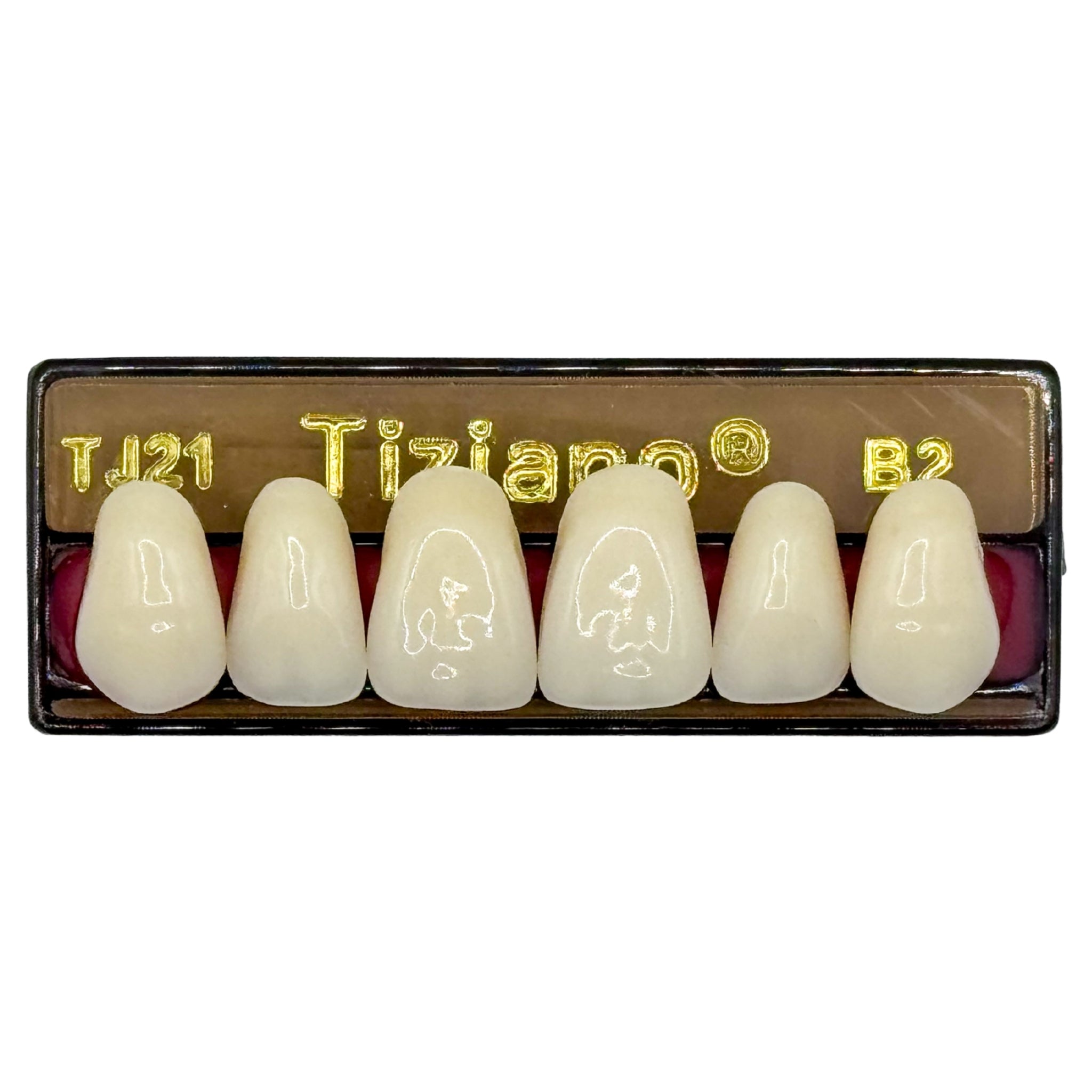 Dientes tiziano x 6 sa TJ21 col B2
