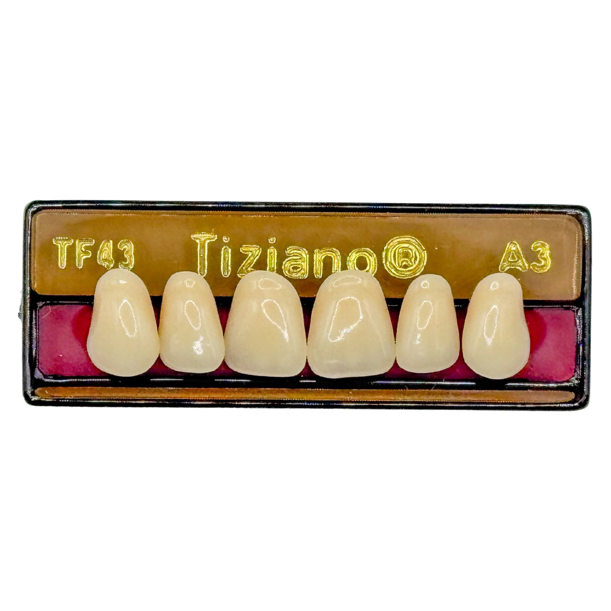 Dientes tiziano x 6 sa TF43 col A3