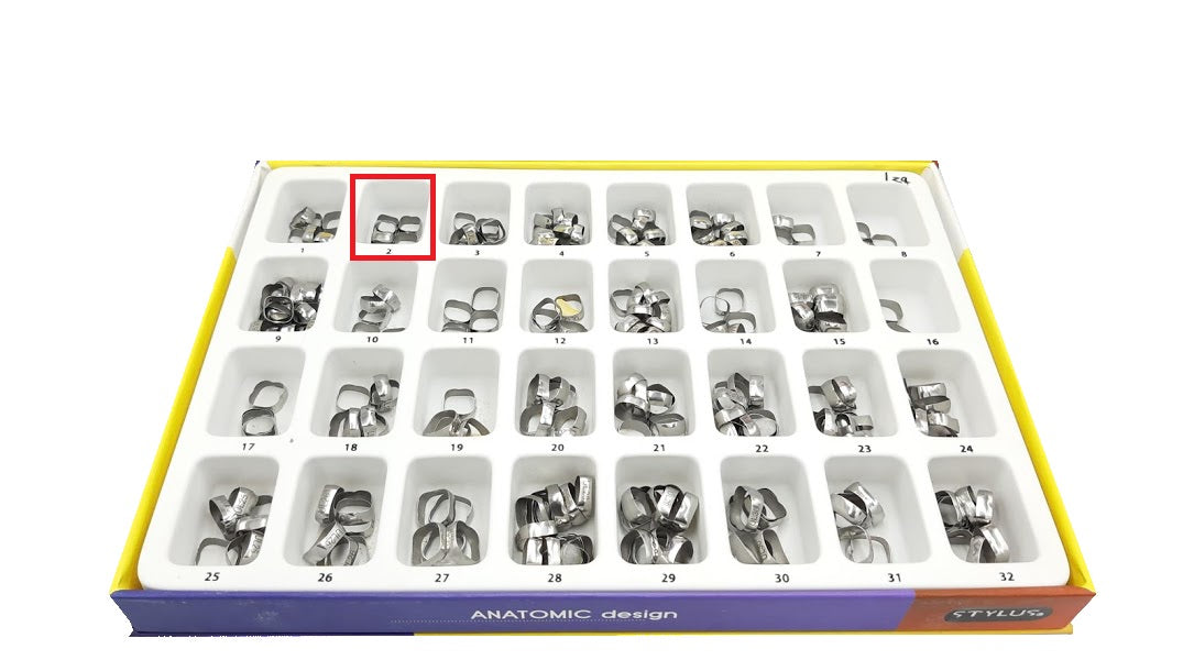Banda anatomica 1 molar Borgatta Upper