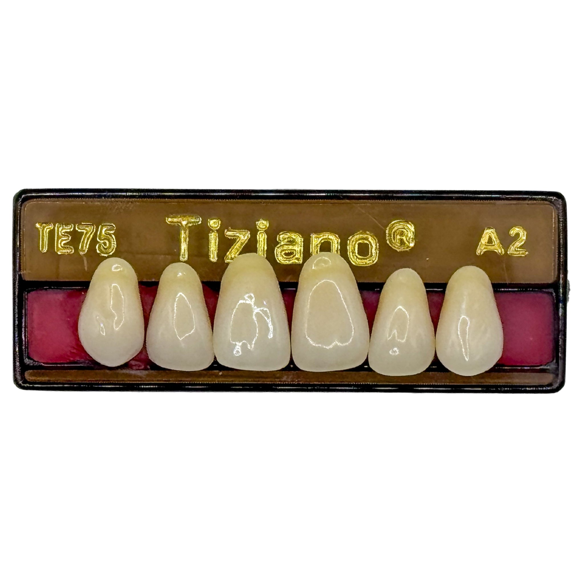 Dientes tiziano x 6 sa TE75 col A2