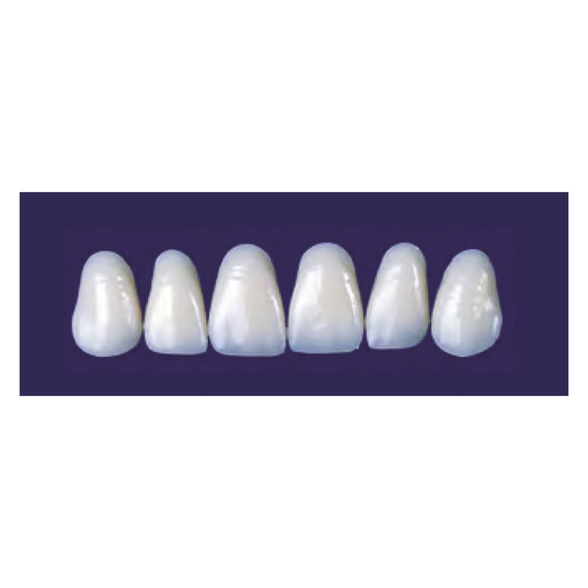 Diente new tek anterior superior — 150-3P-62S