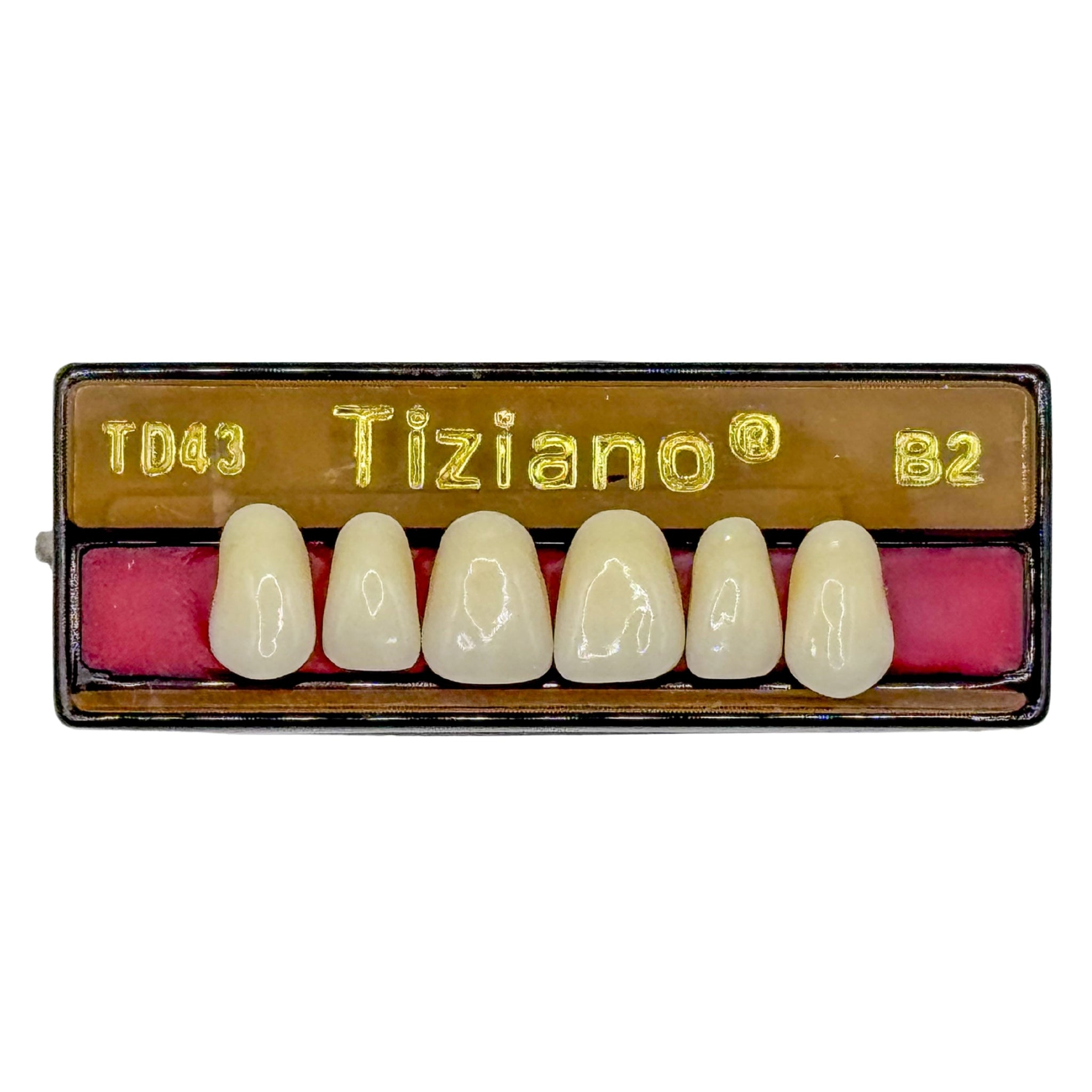 Dientes tiziano x 6 sa TD43 col B2