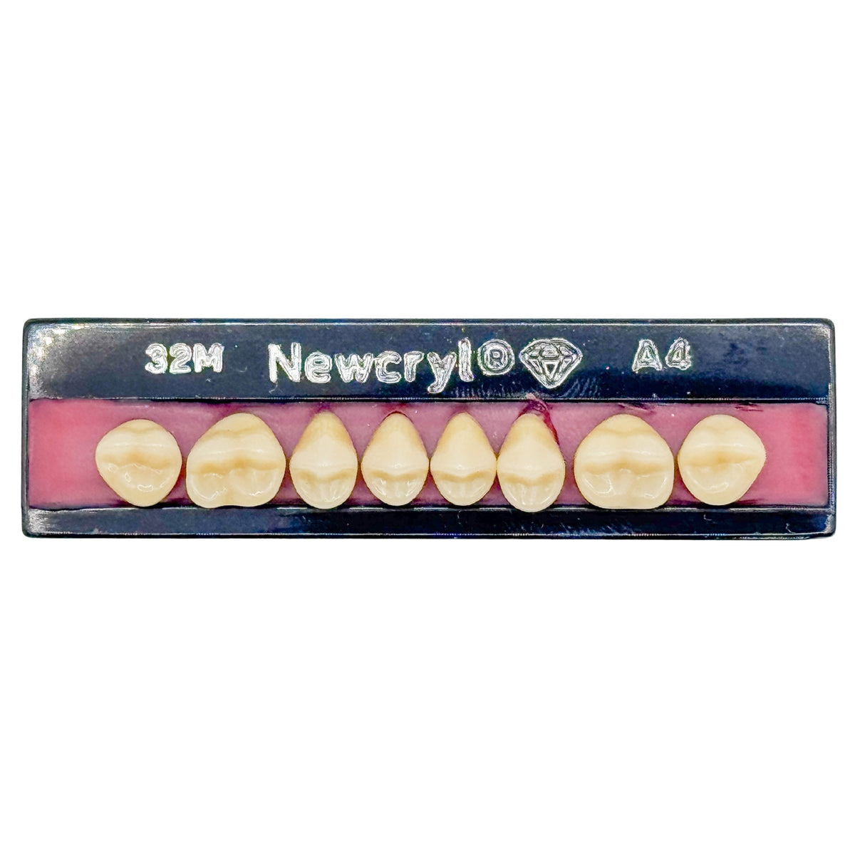 Dientes newcryl superior posterior