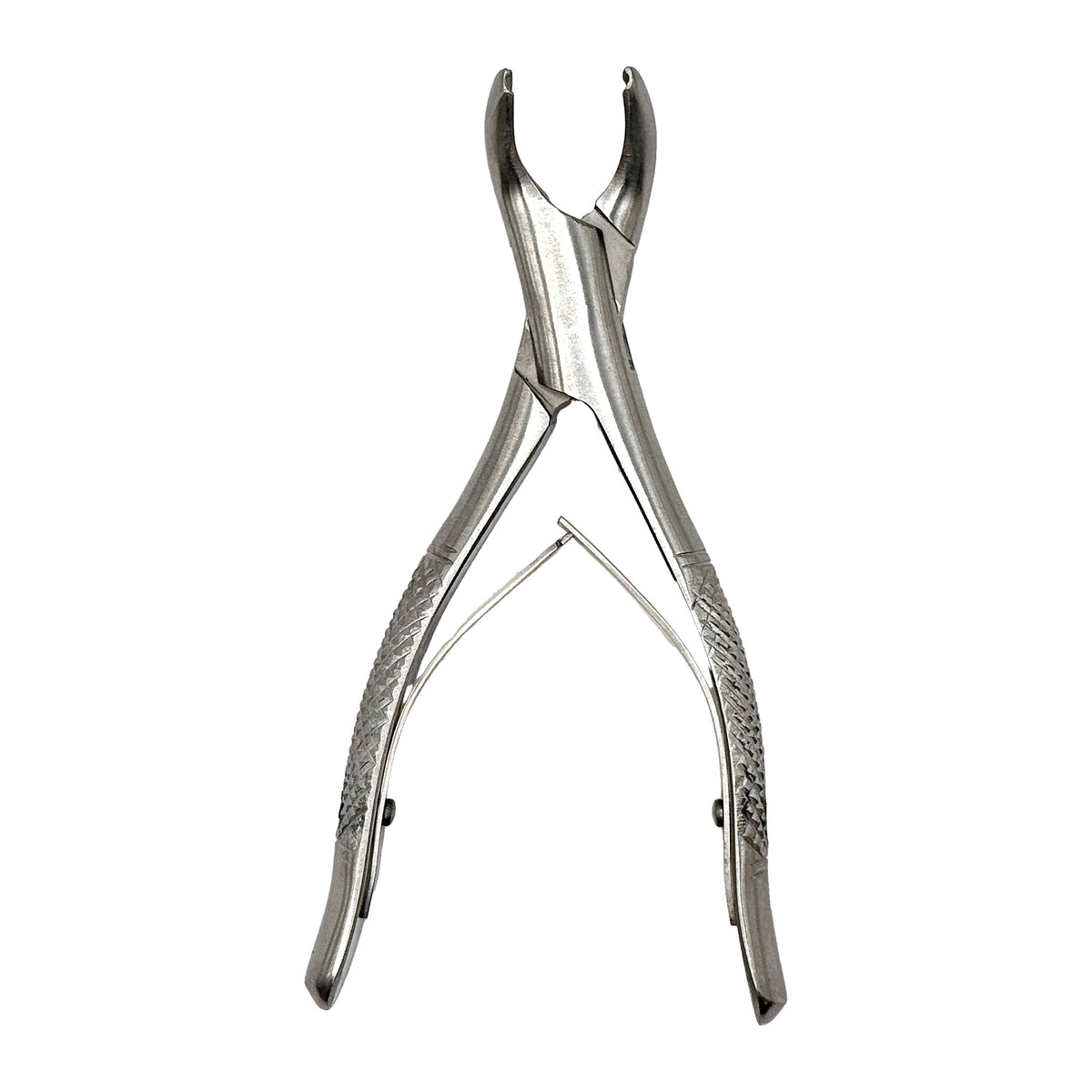 Forcep # 17sk Gayz