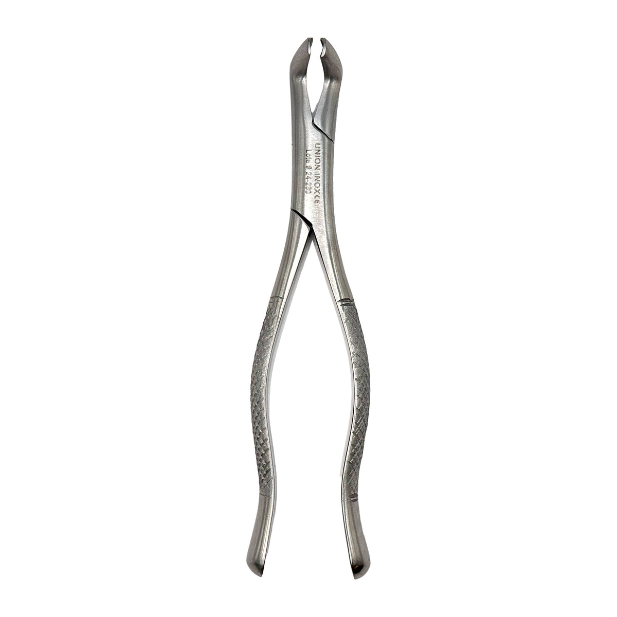 Forcep # 222 3er molar -inf Gayz