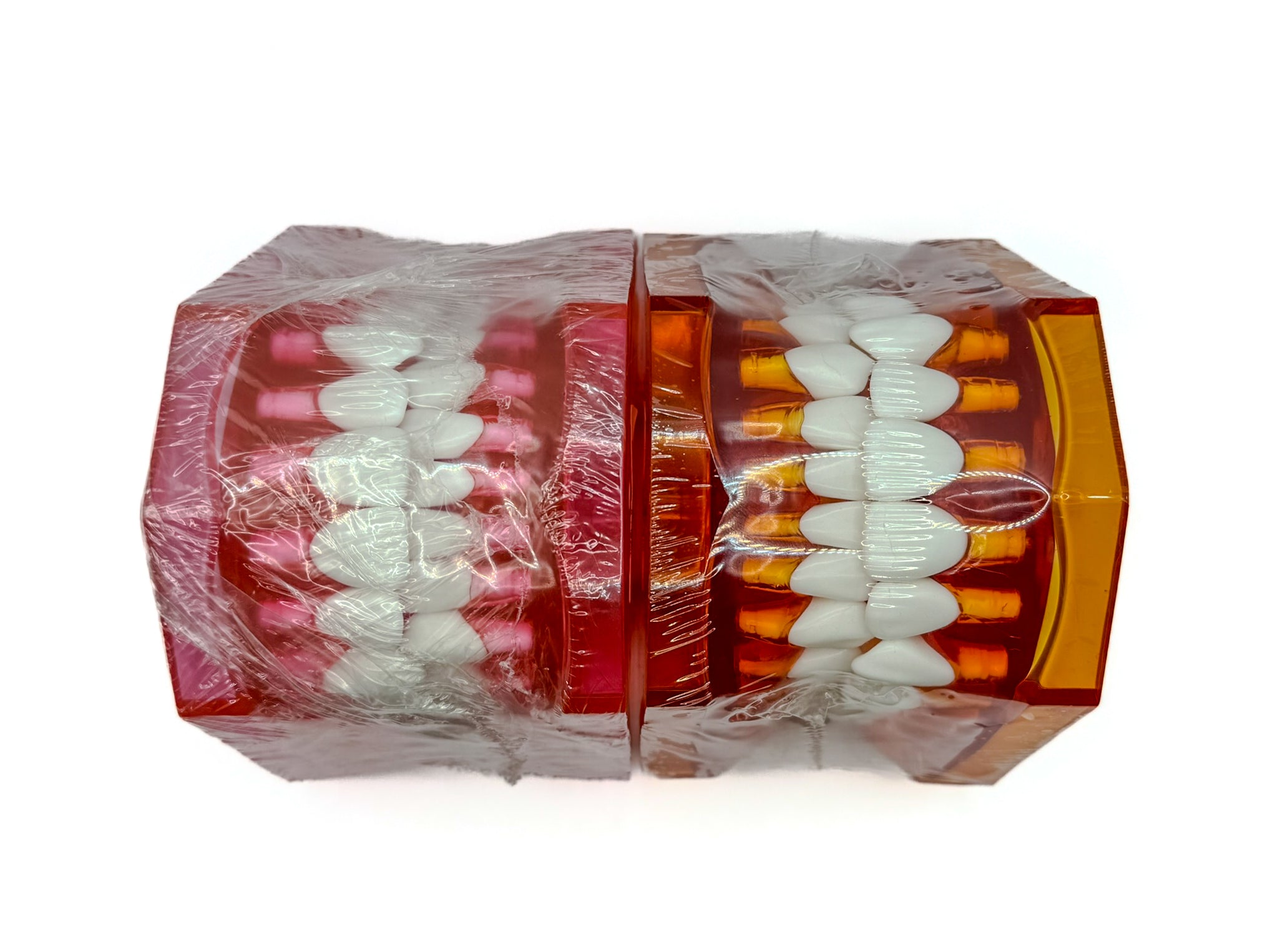 Tipodonto jumbo con bisagra de plastico