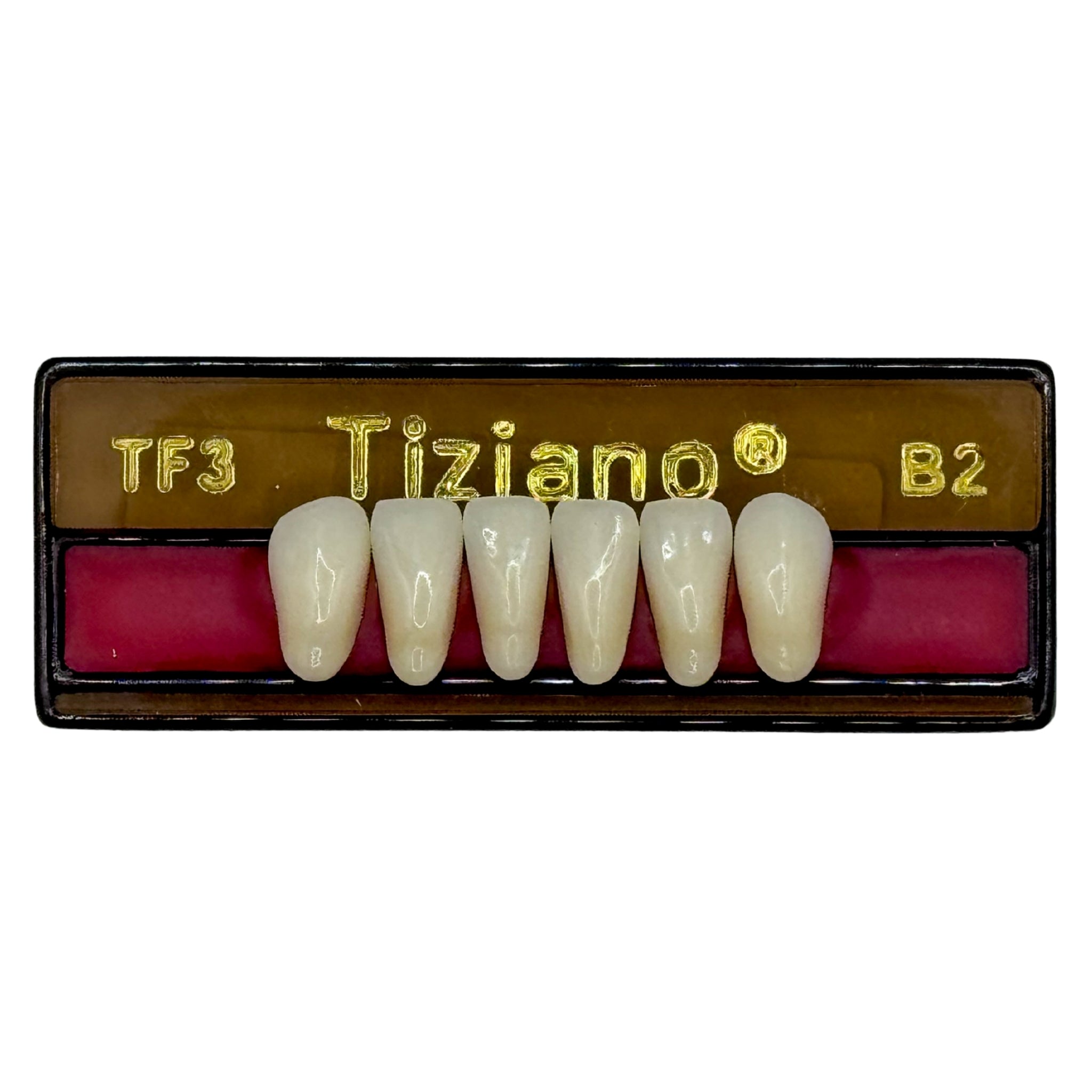 Dientes tiziano x 6 ia TF3 col B2
