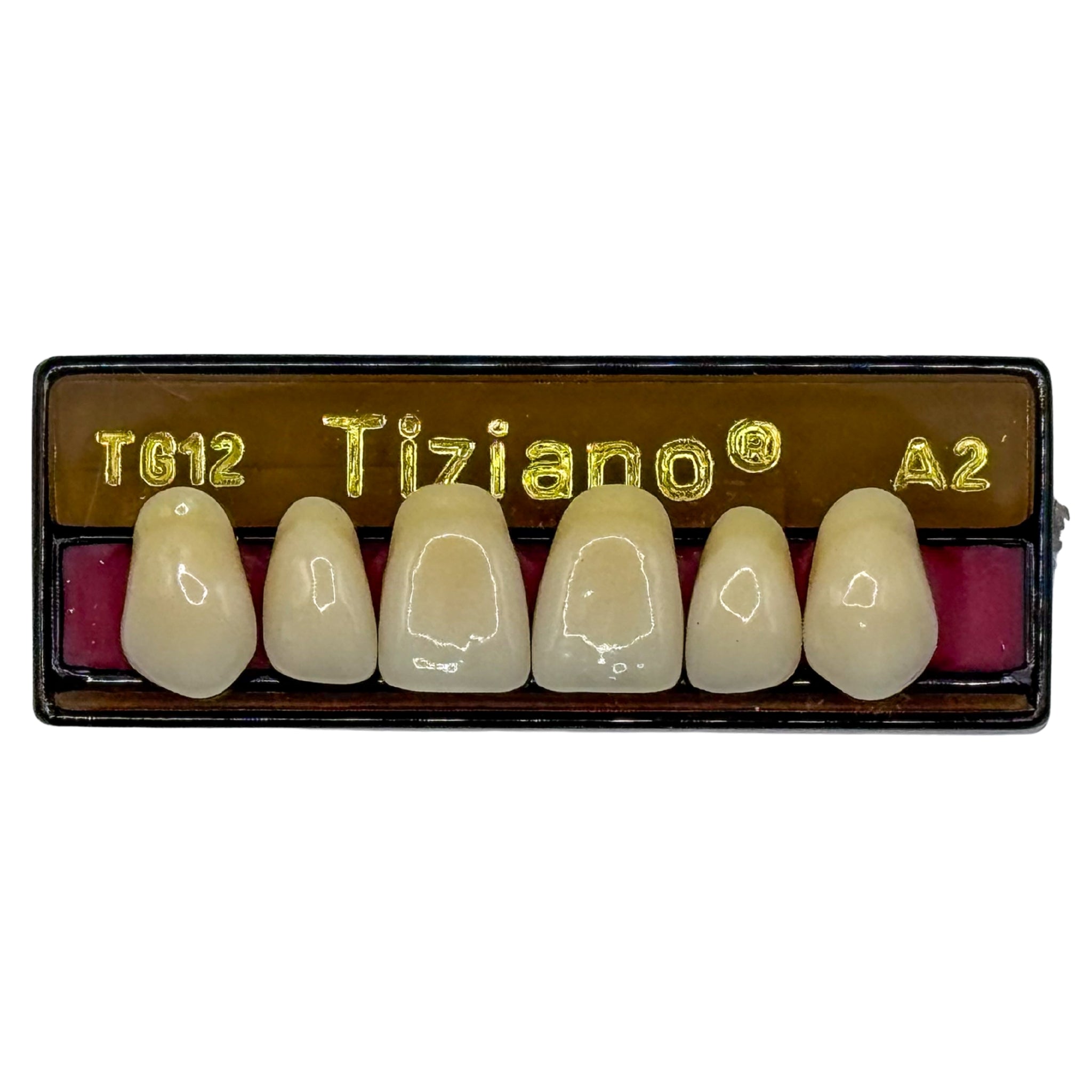 Dientes tiziano x 6 sa TG12 col A2