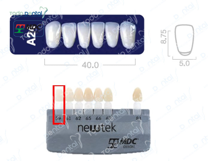 Diente new tek anterior inferior