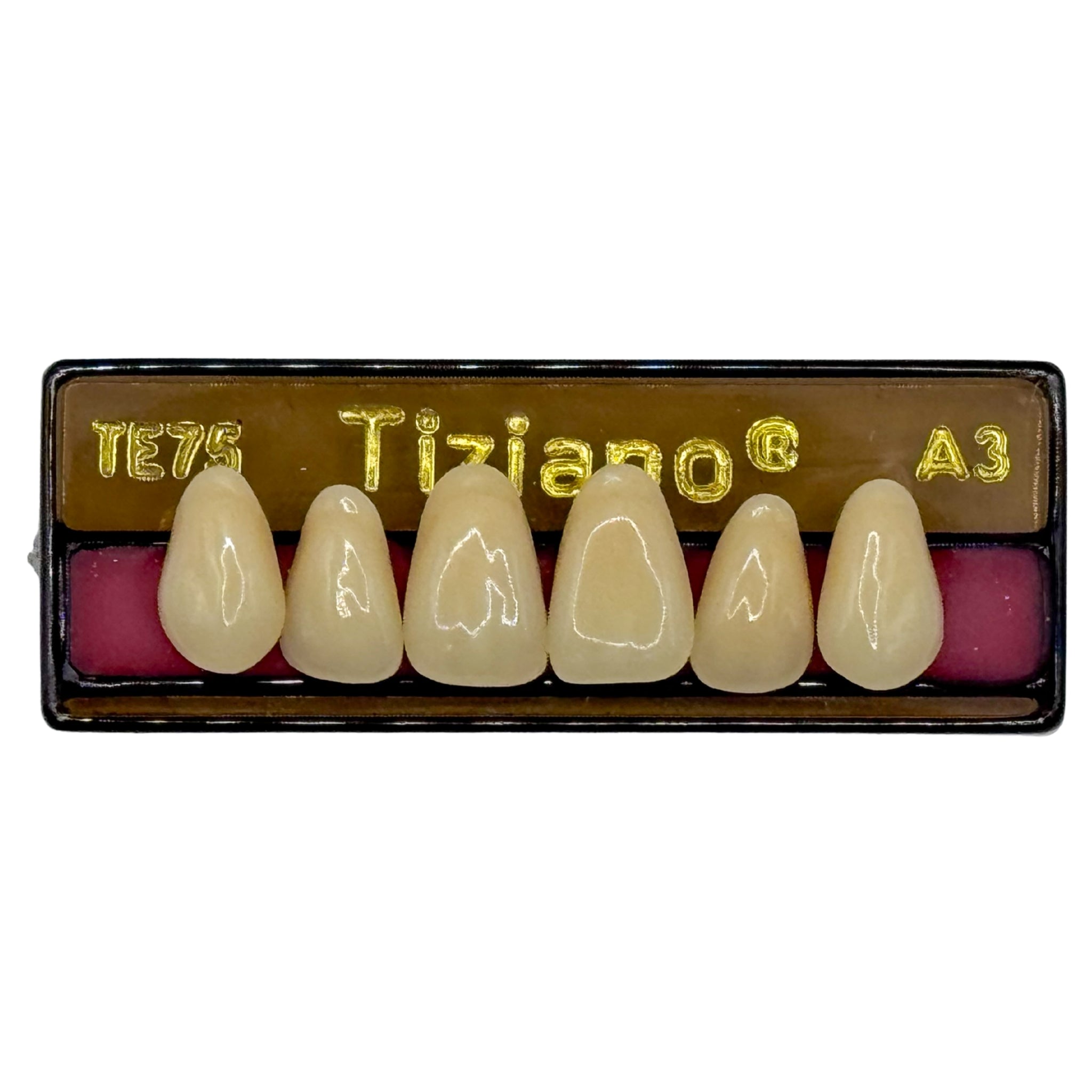 Dientes tiziano x 6 sa TE75 col A3