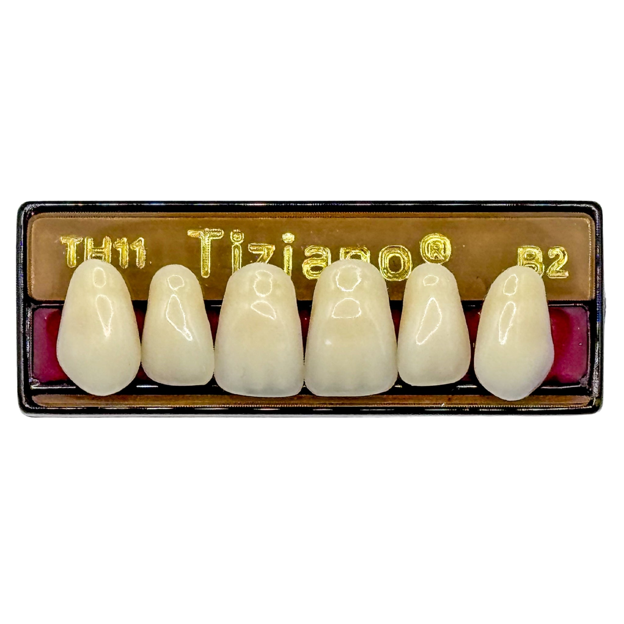 Dientes tiziano x 6 sa TH11 col B2