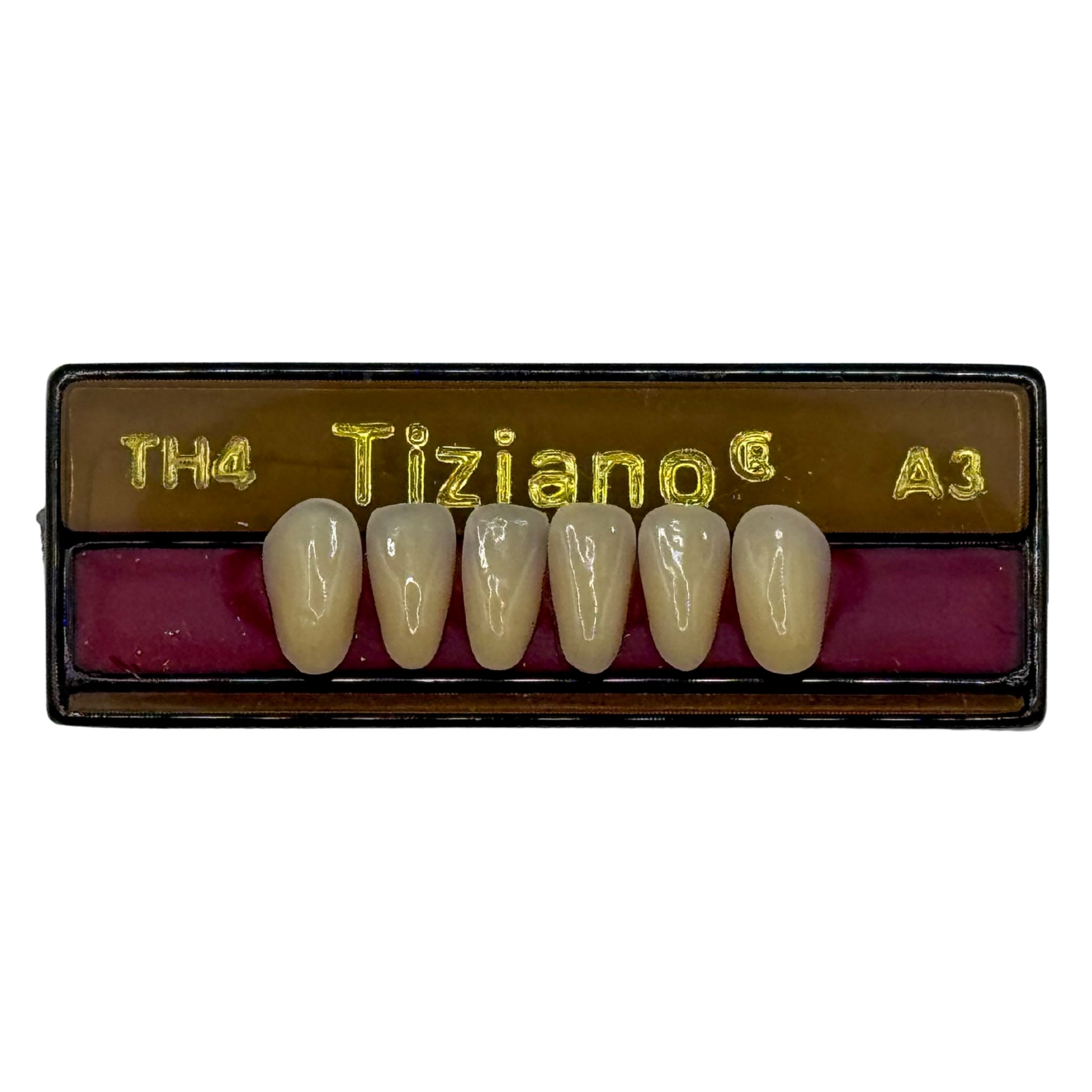Dientes tiziano x 6 ia TH4 col A3