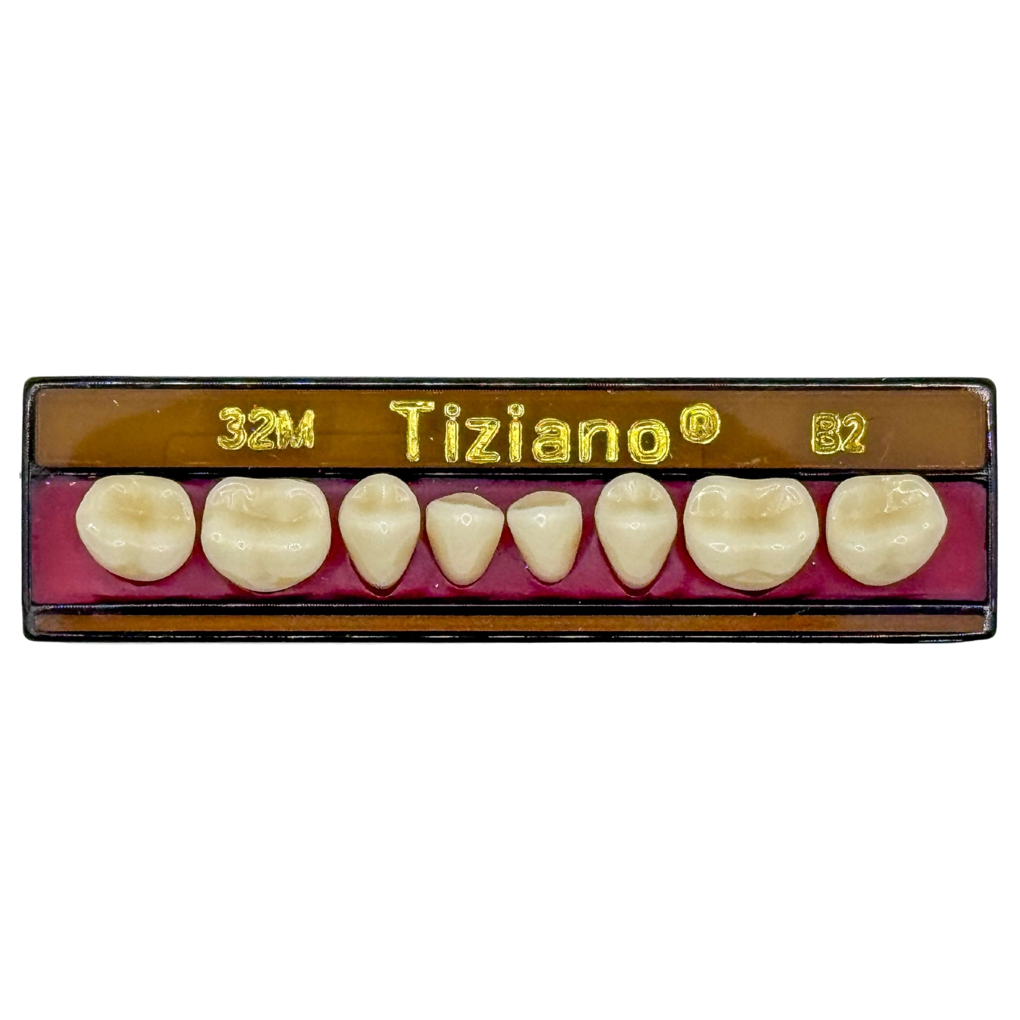 Dientes tiziano x 8 ip 32M col B2