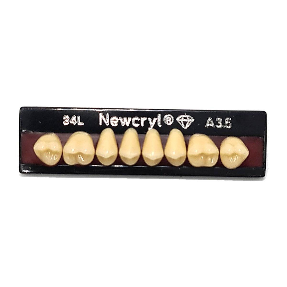 Dientes newcryl superior posterior