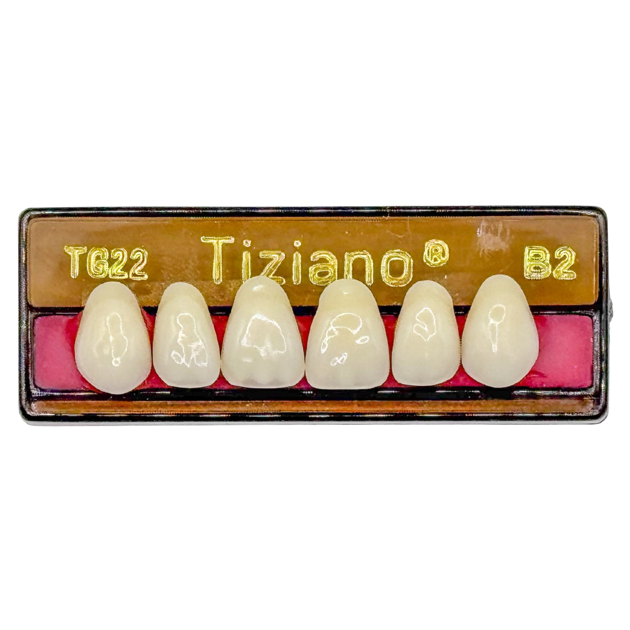 Dientes tiziano x 6 sa TG22 col B2