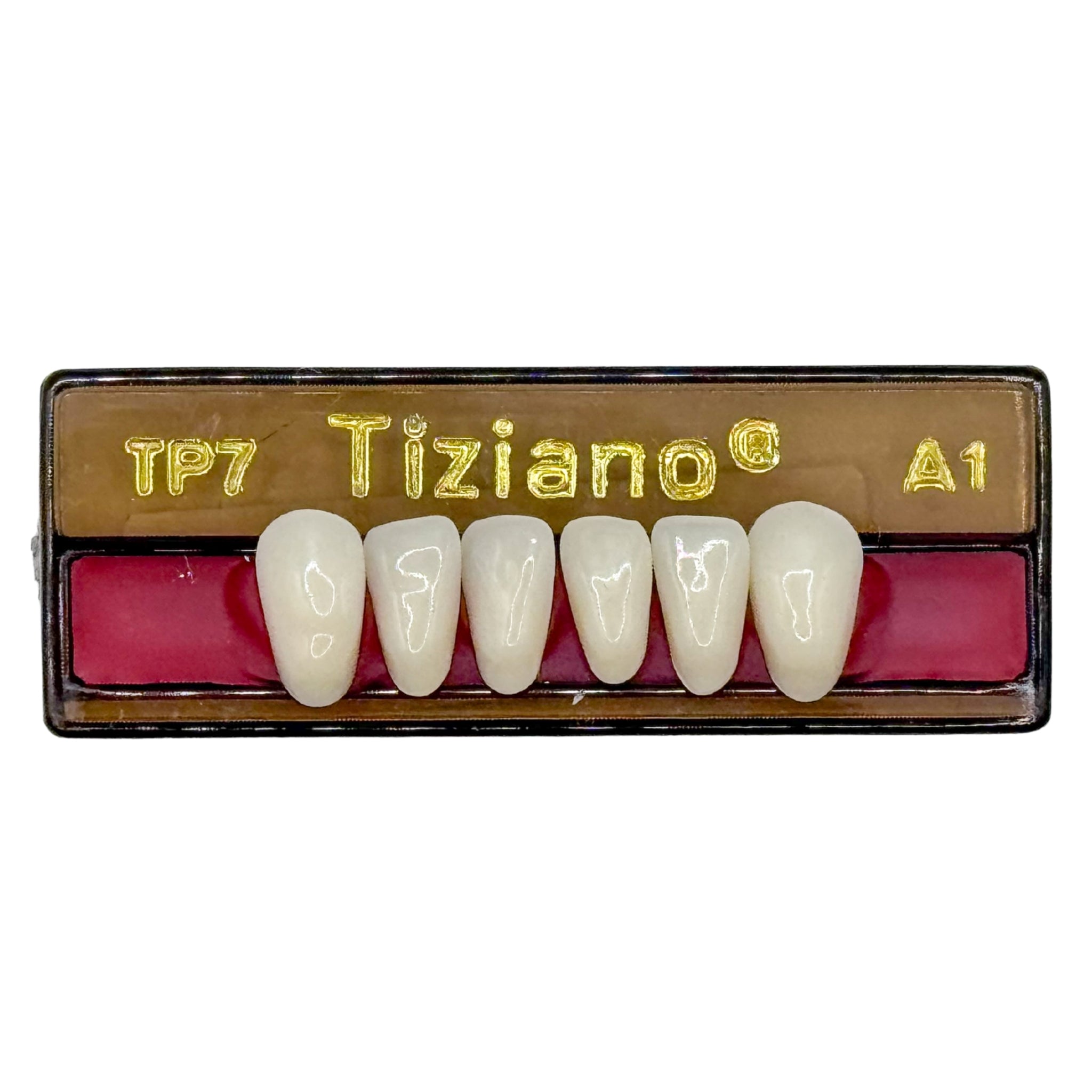 Dientes tiziano x 6 ia TP7 col A1