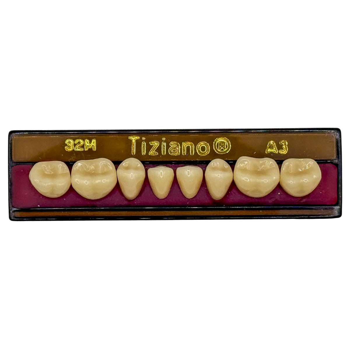 Dientes Tiziano inferior posterior